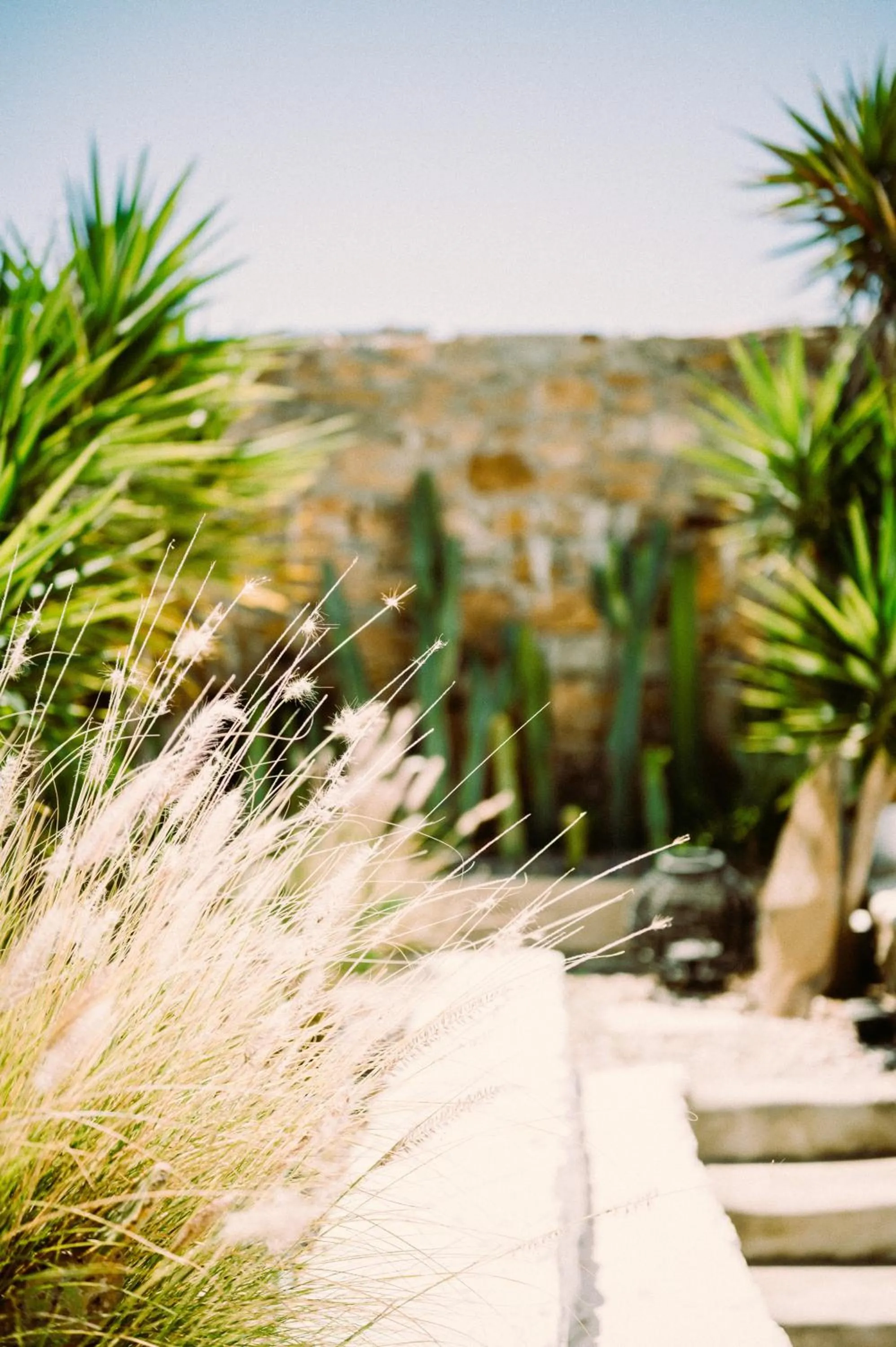 Garden in Sea Side Studios & Houses