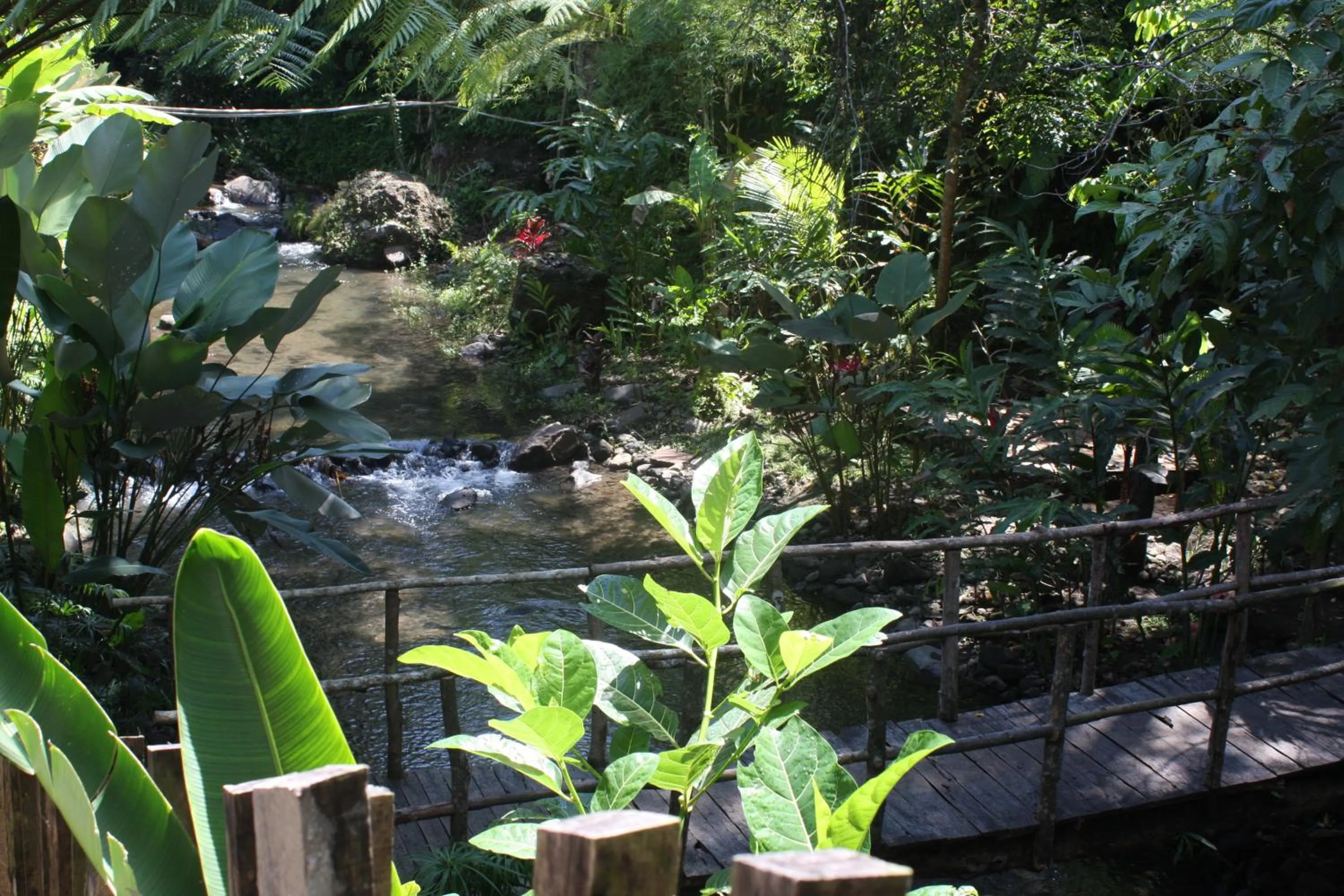 Bird's eye view in Jogloplawang Villa&Resort