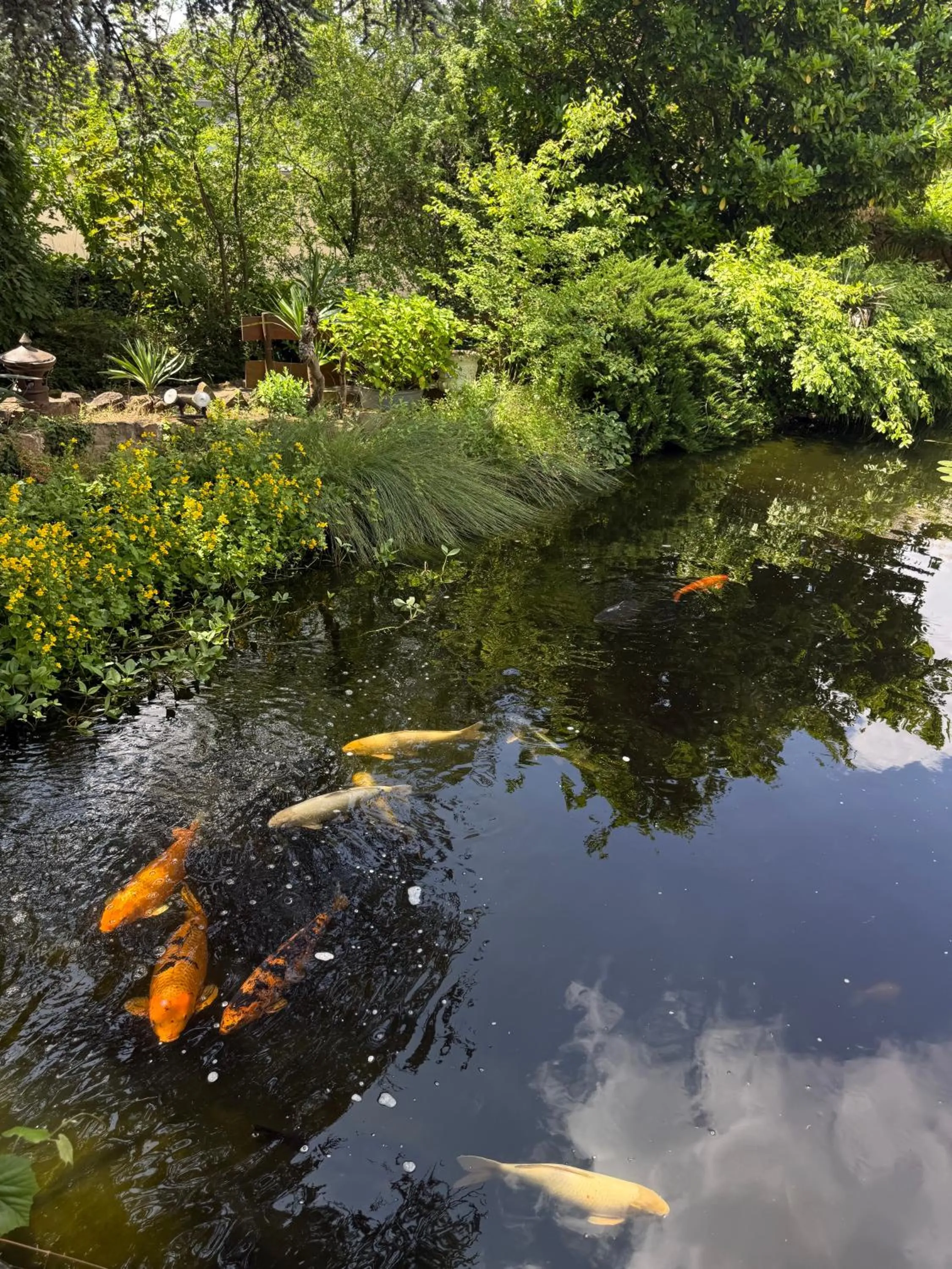 Property building in Winzergarten Hotel-Restaurant