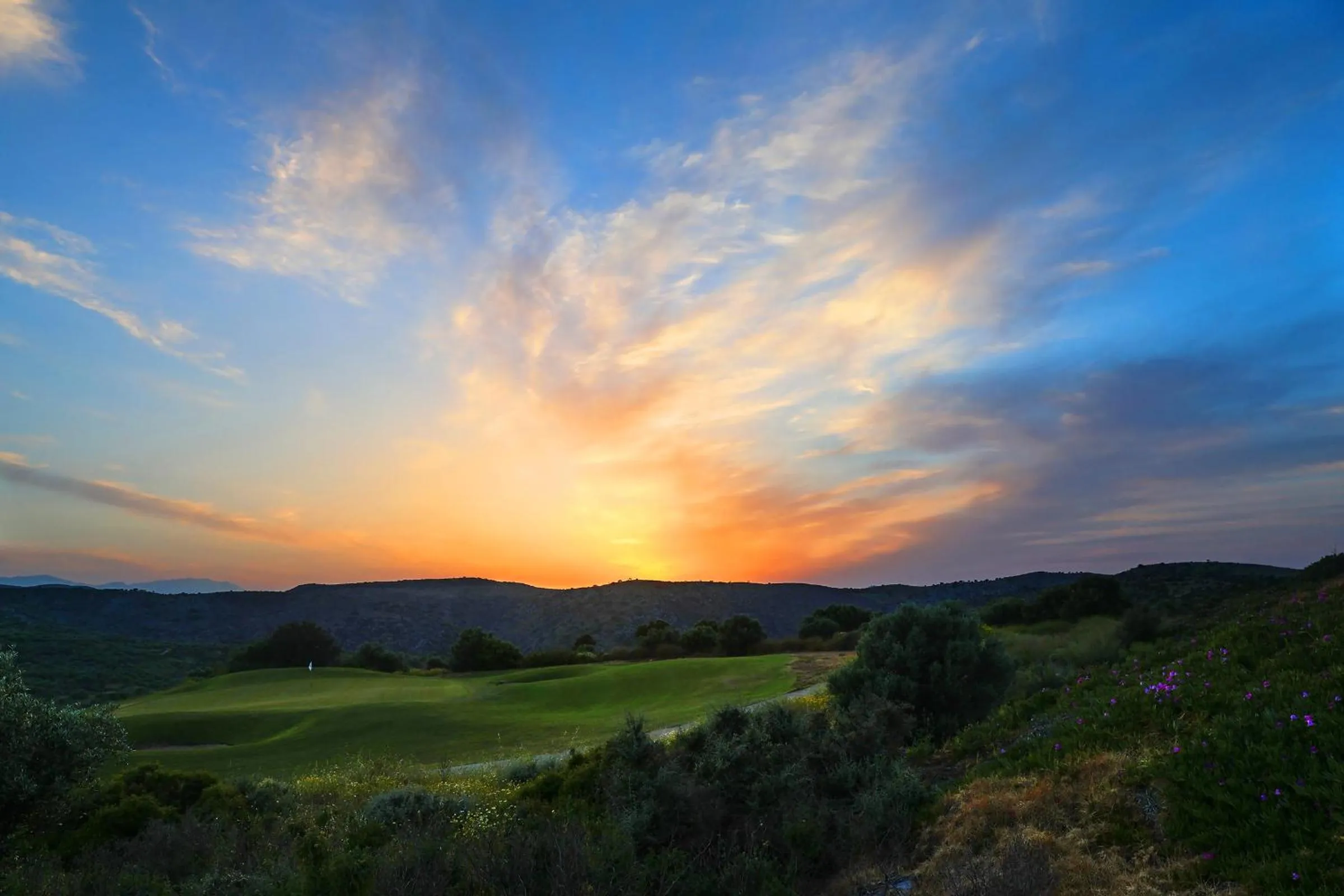 Natural landscape in Palmera Beach Hotel & Spa - Adults Only