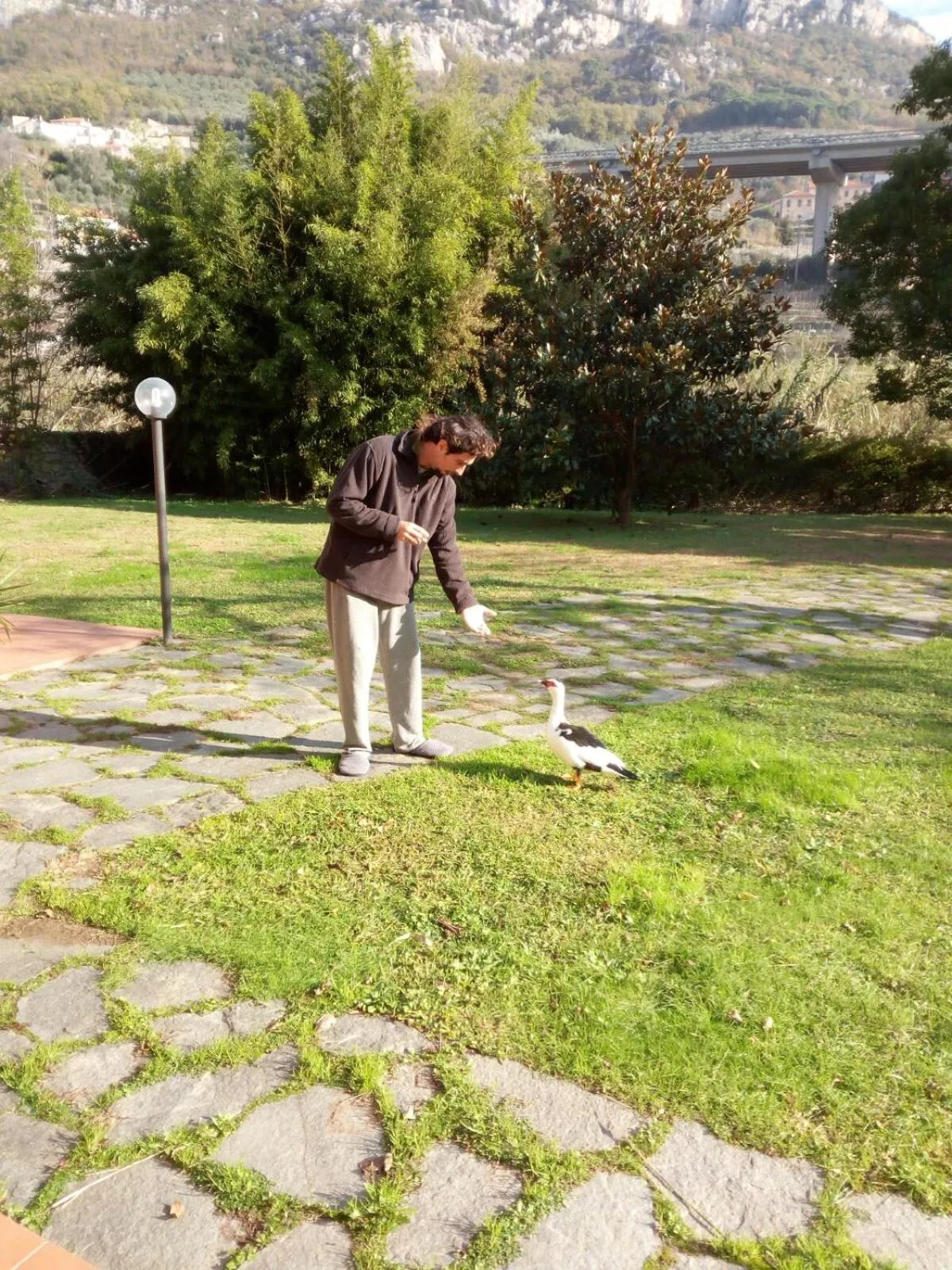 Garden in Il Pozzo e il Melograno