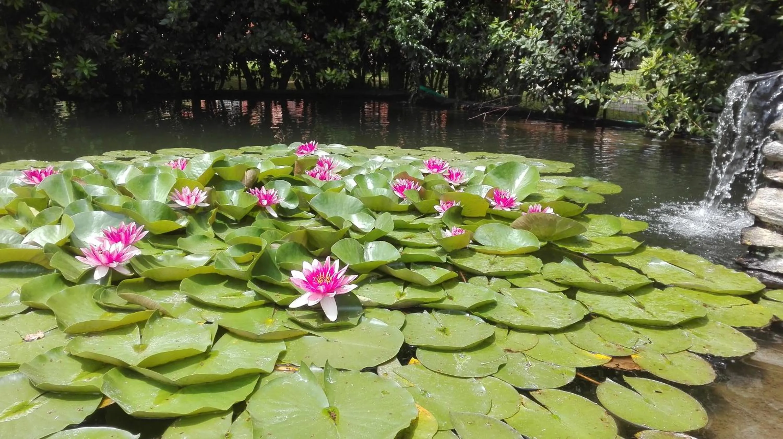 Garden view in Il Pozzo e il Melograno