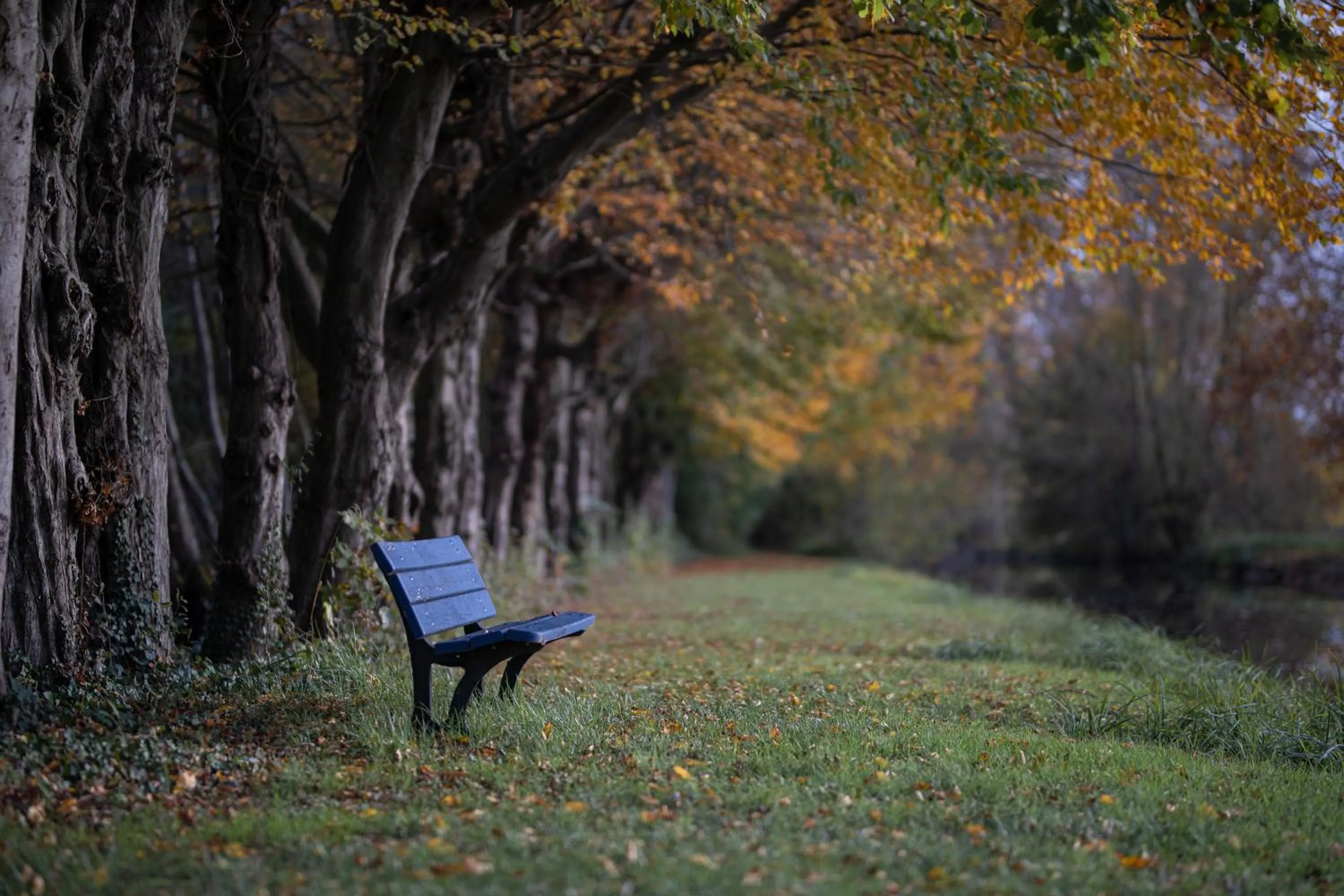 Château de Vitry-la-Ville