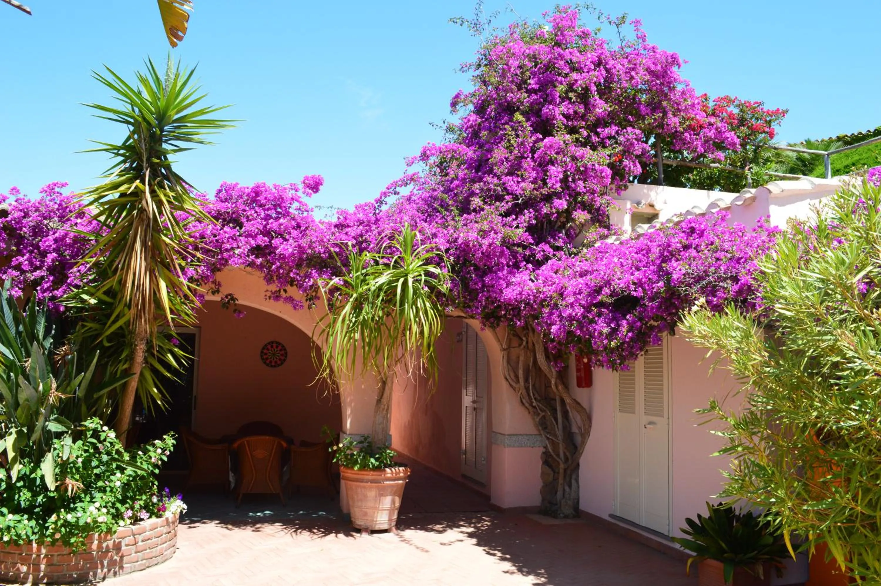 Patio in Residence Fenicia