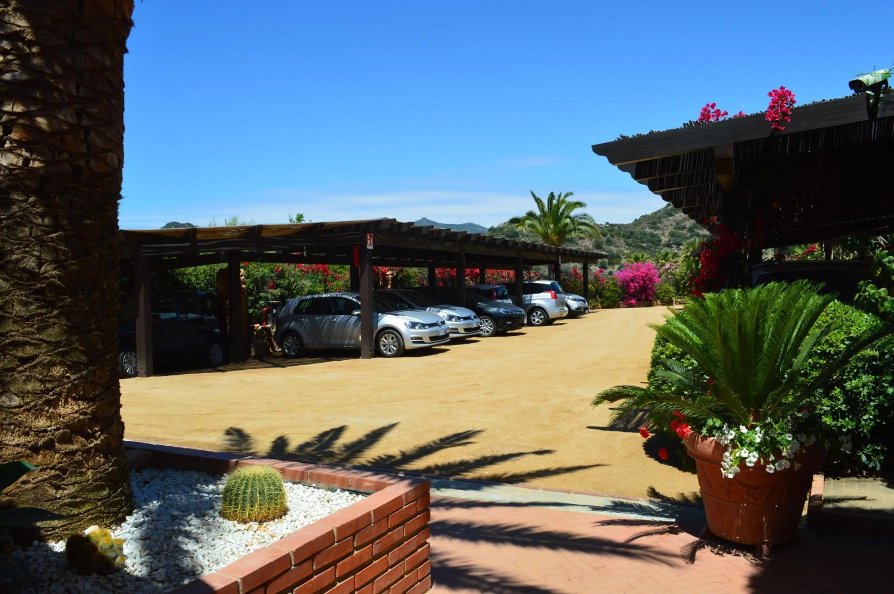 Area and facilities in Residence Fenicia