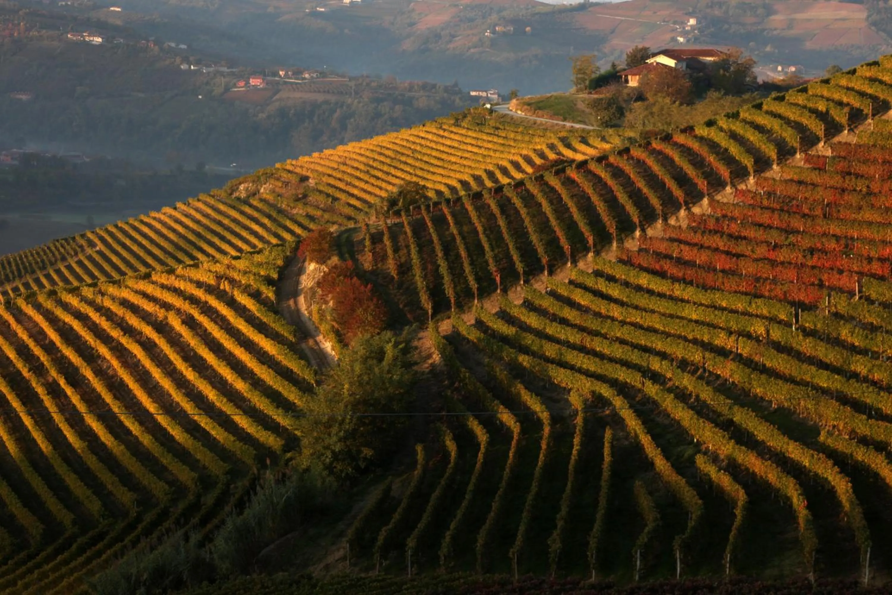 View (from property/room) in Albergo Castiglione Langhe