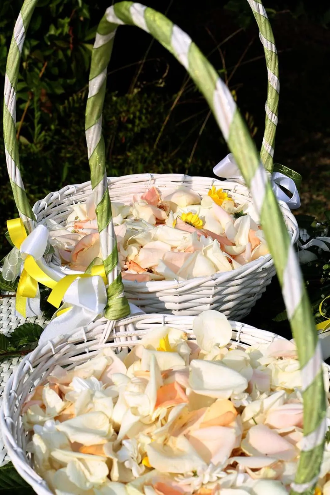 Albergo Castiglione Langhe