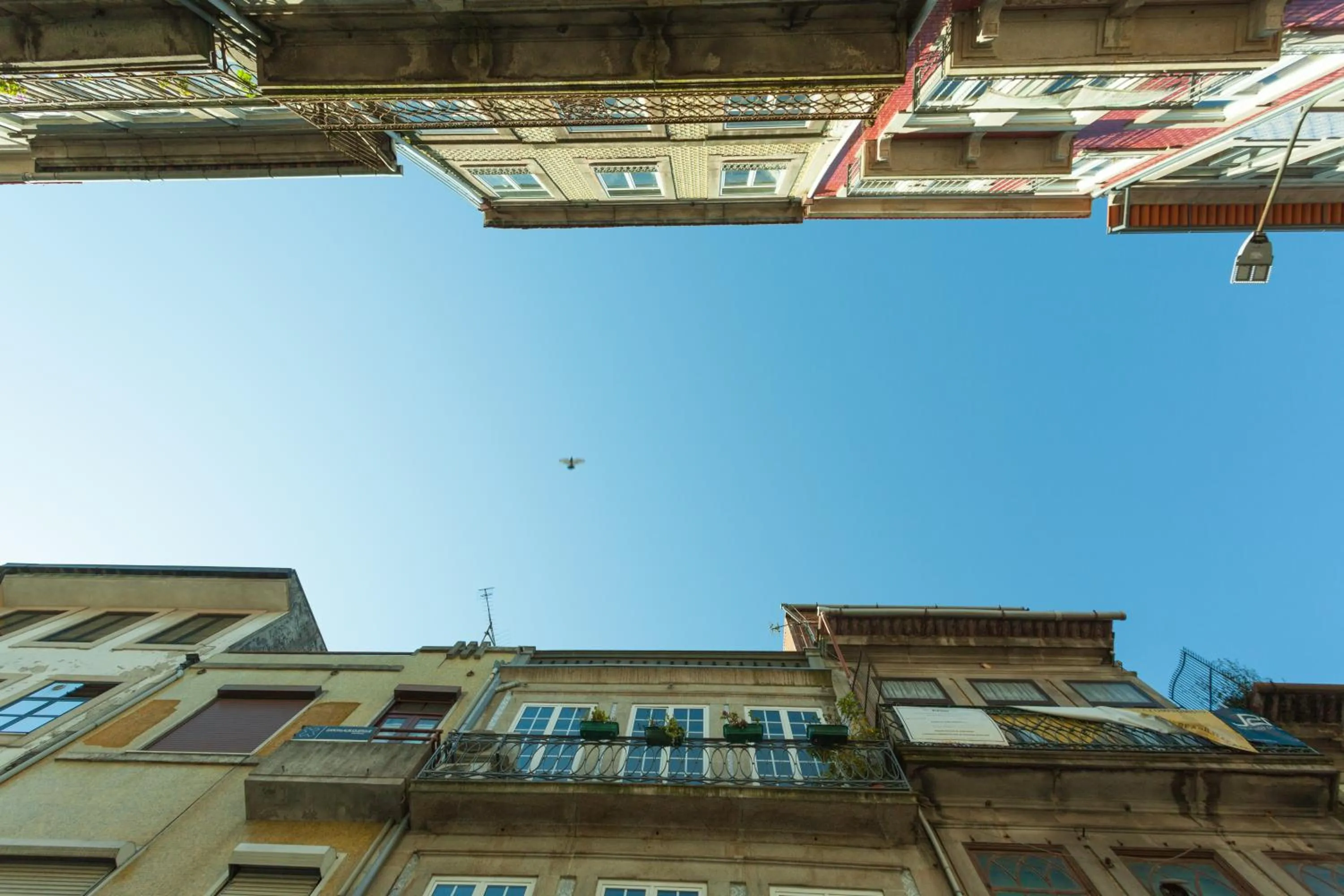 Facade/entrance in Oporto City View - Santo Ildefonso