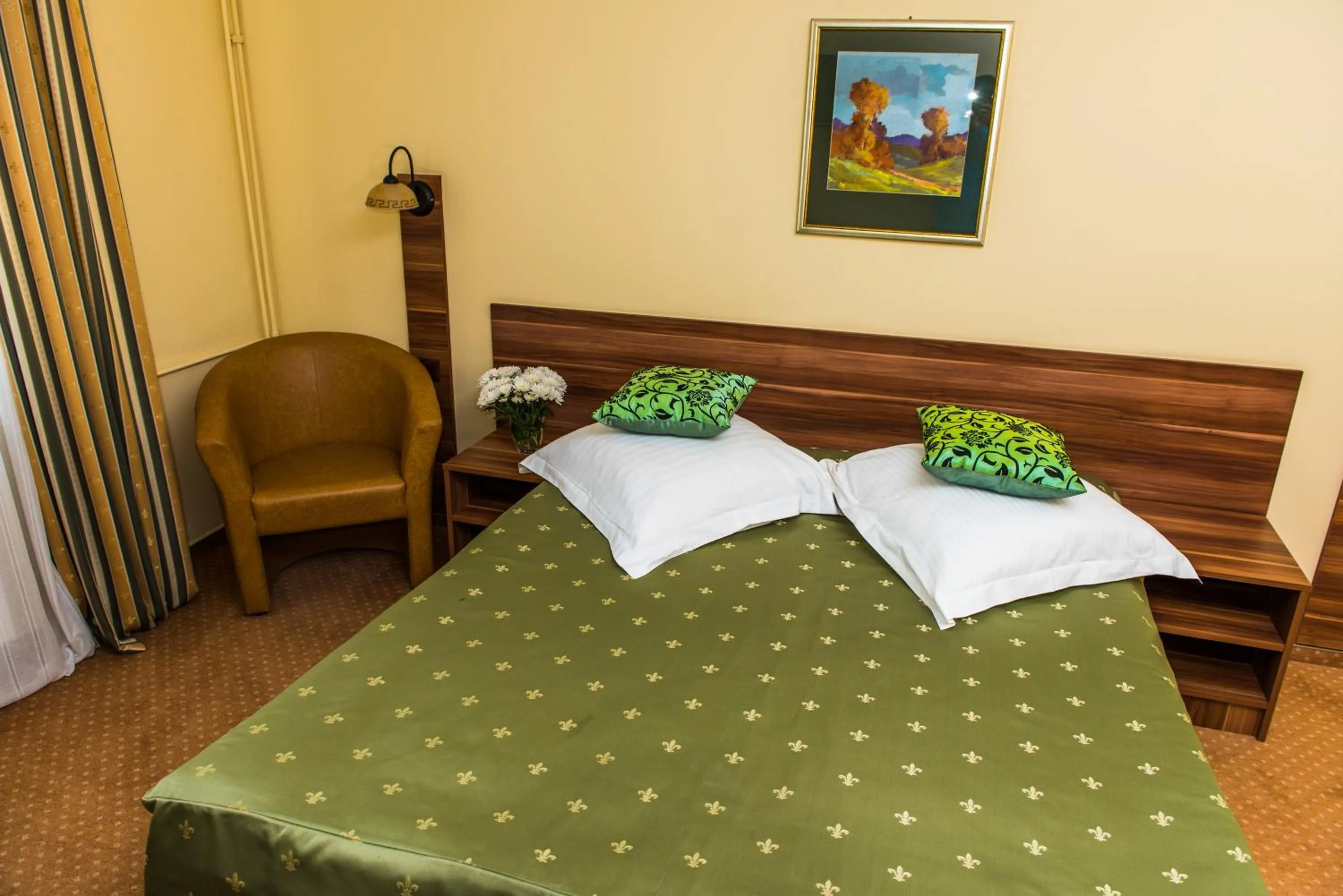 Photo of the whole room in Hotel Lyra