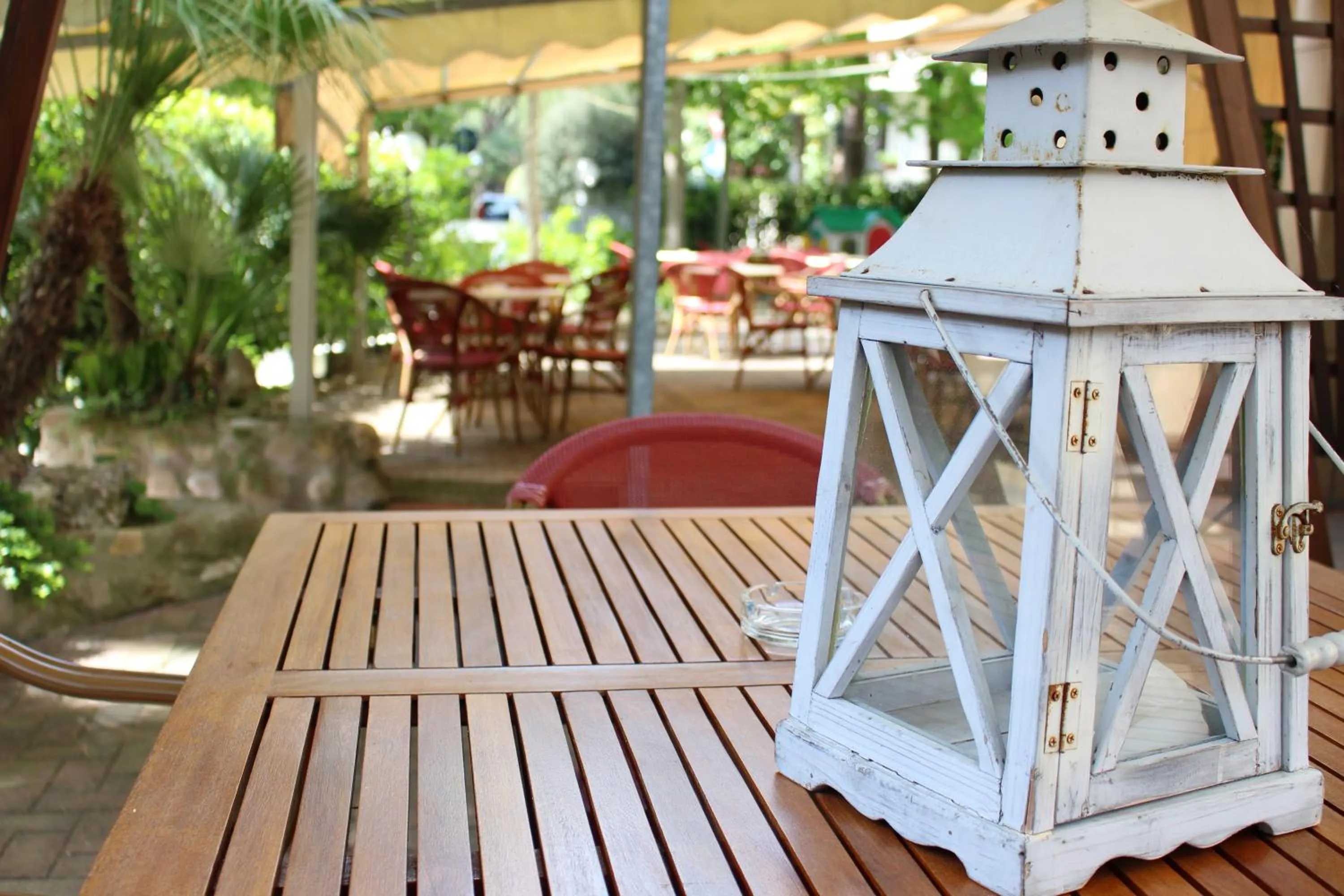 Patio in Hotel Corallo