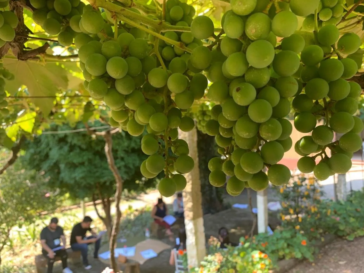 Natural landscape in Hotel Pousada São Lourenço