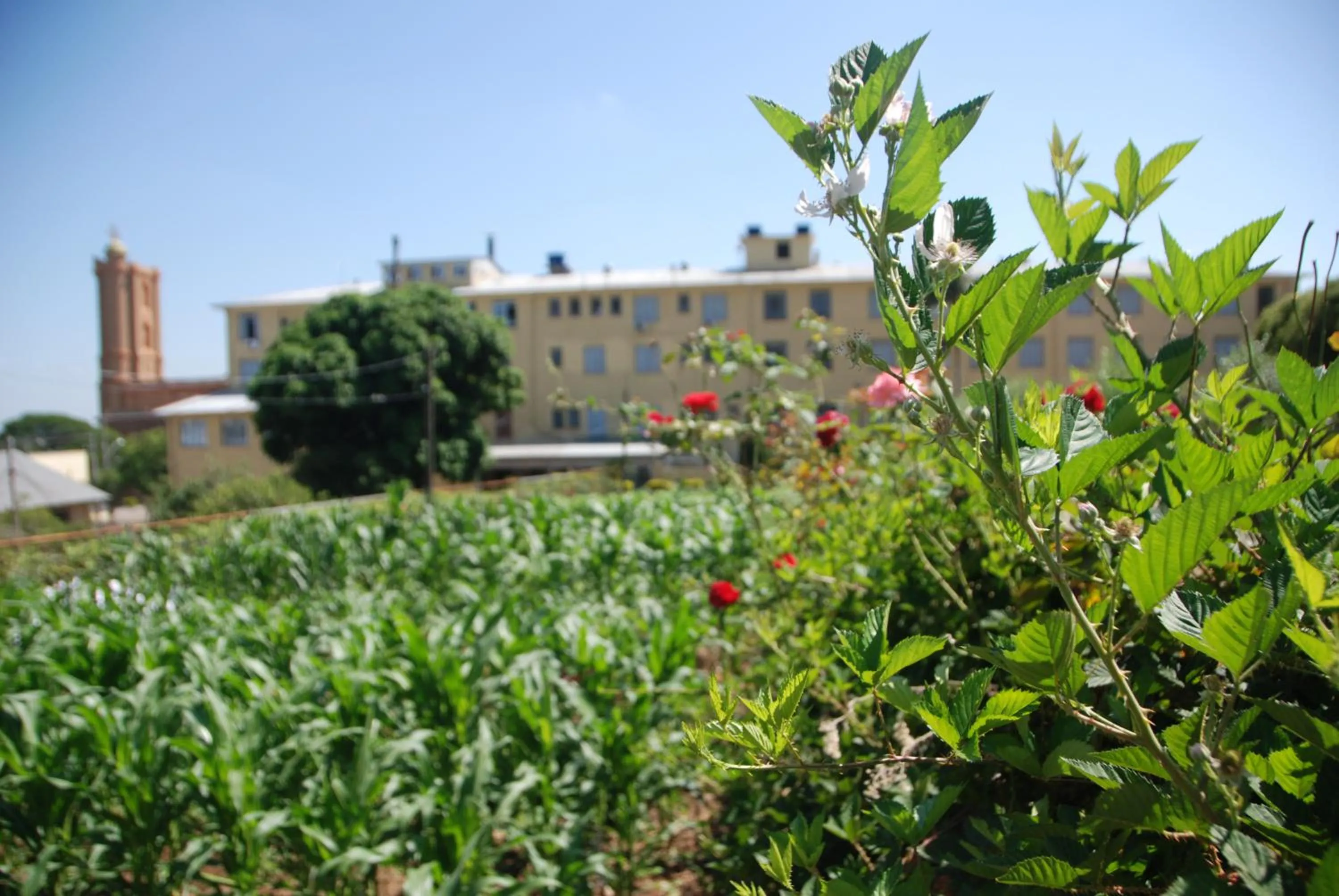 Property building in Hotel Pousada São Lourenço