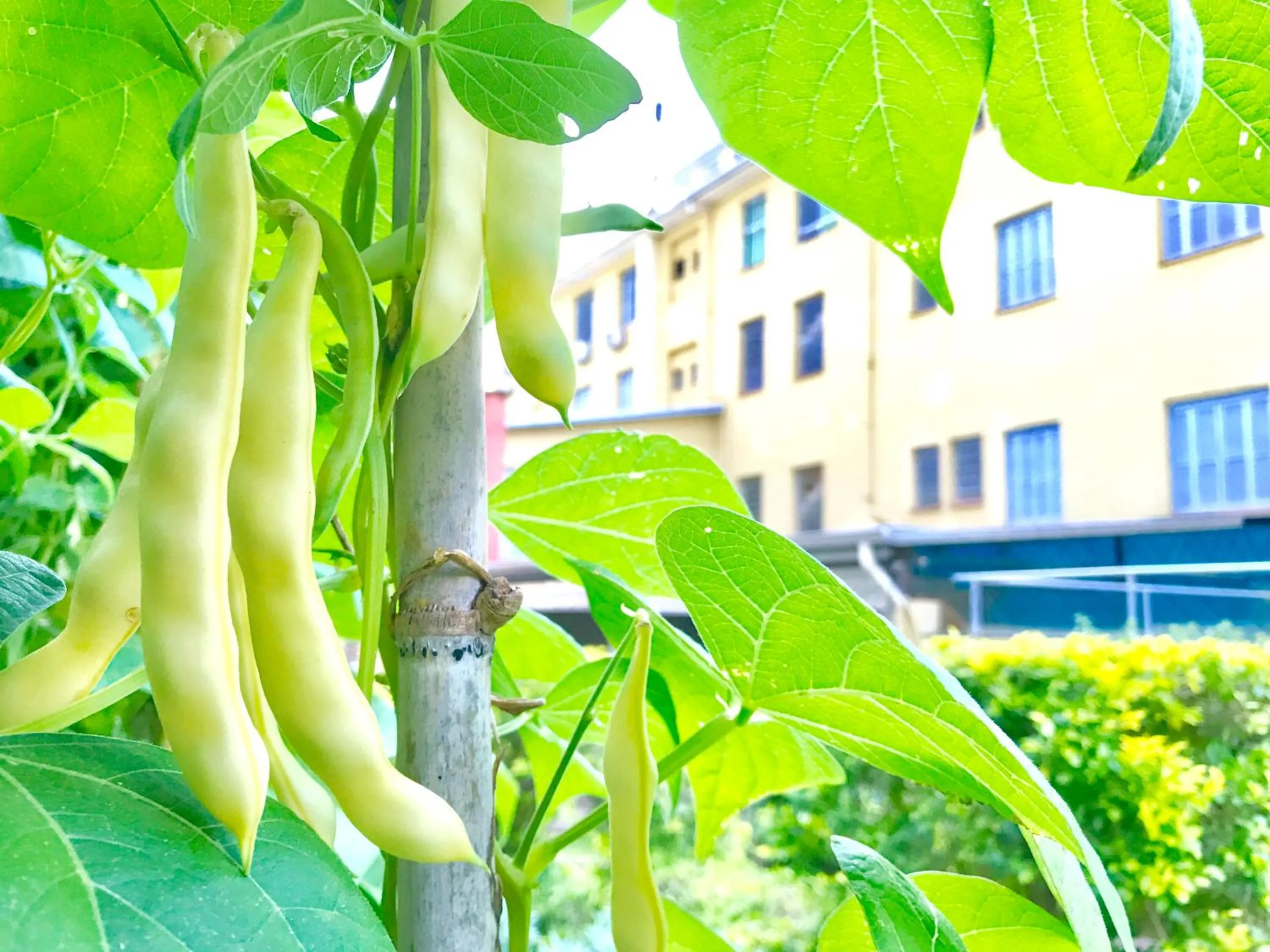 Property building in Hotel Pousada São Lourenço