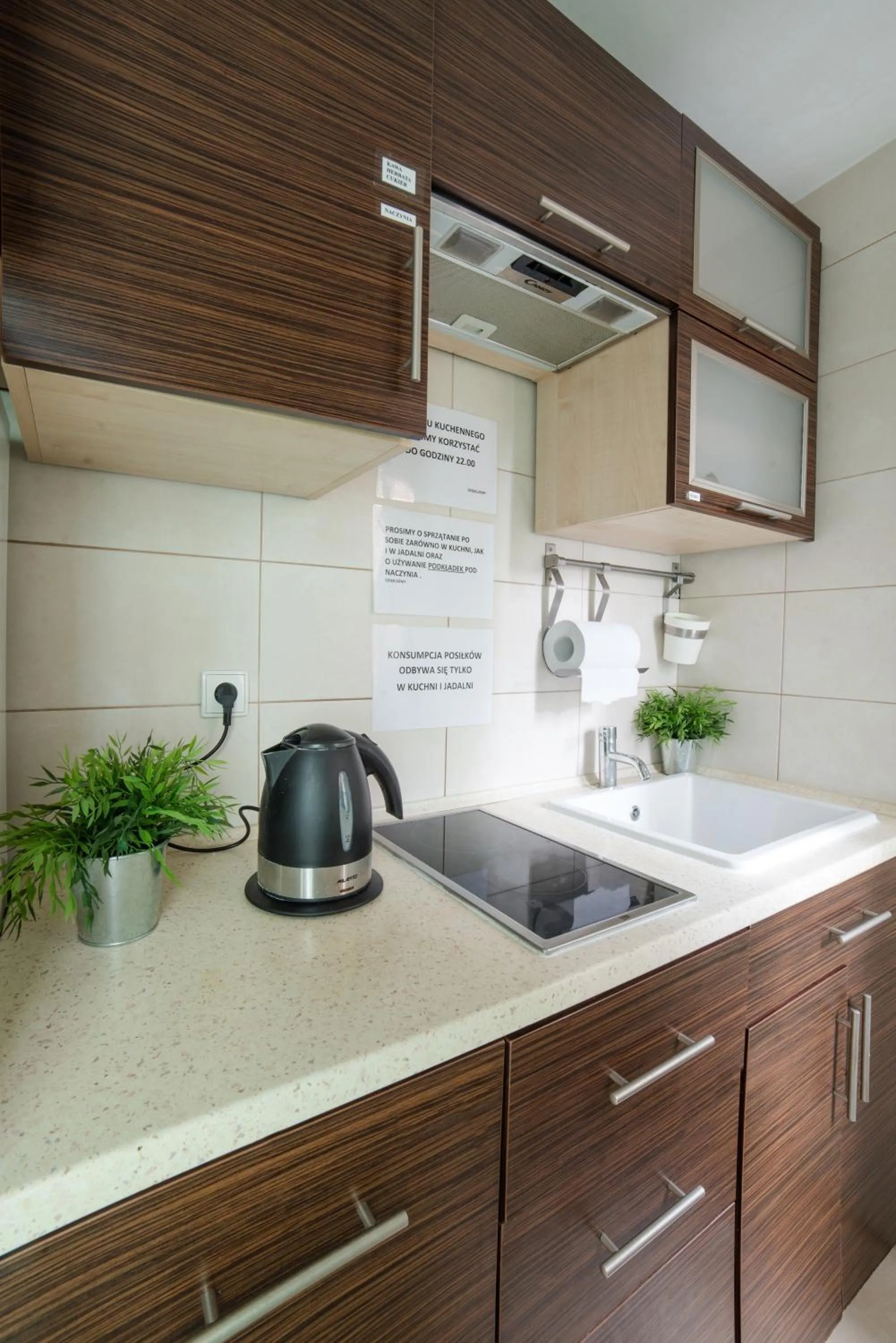 Kitchen or kitchenette in Green Hostel