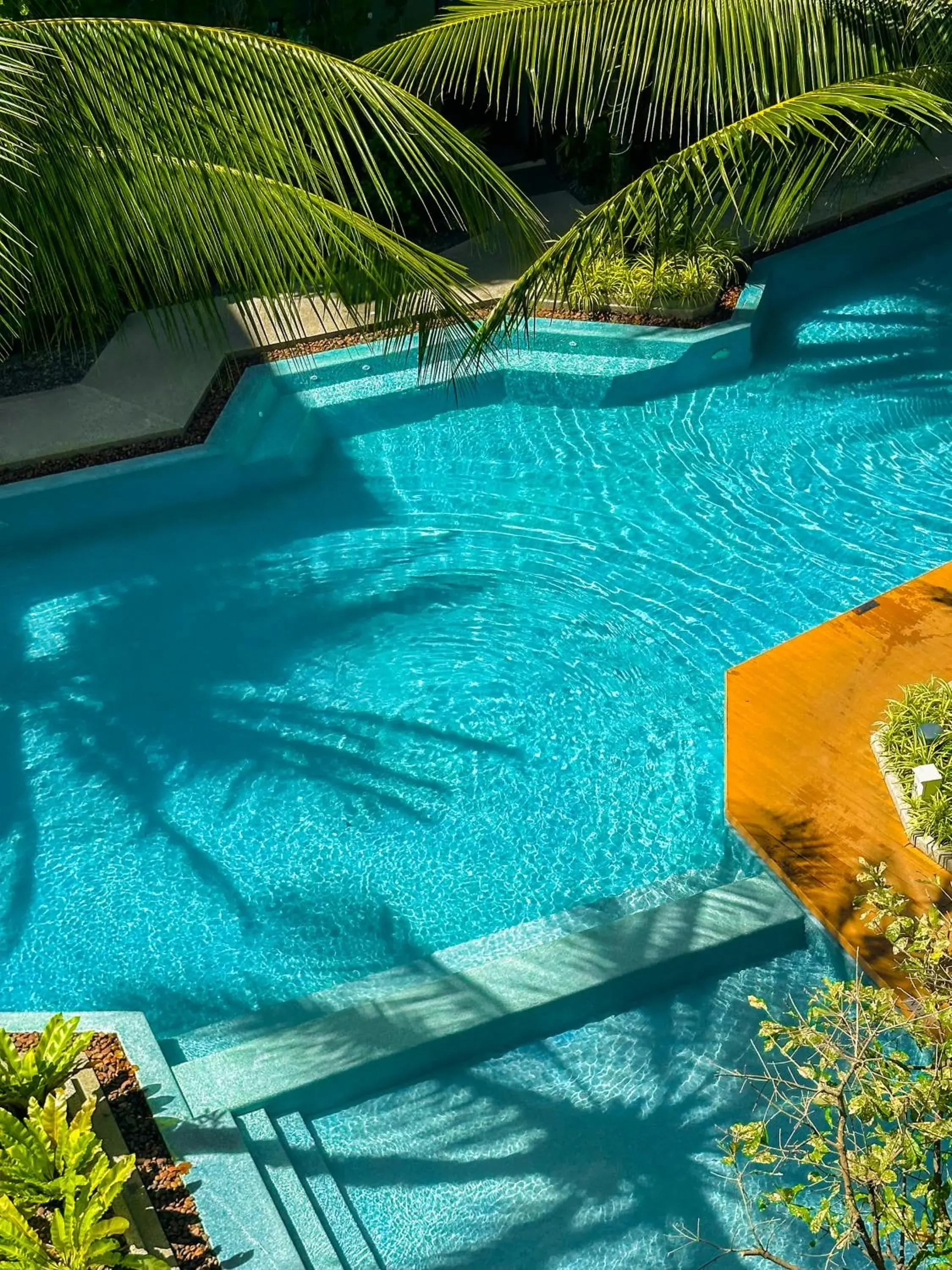 Pool view in Diamond Resort Phuket Official Account Pool view in Diamond Resort Phuket Official Account
