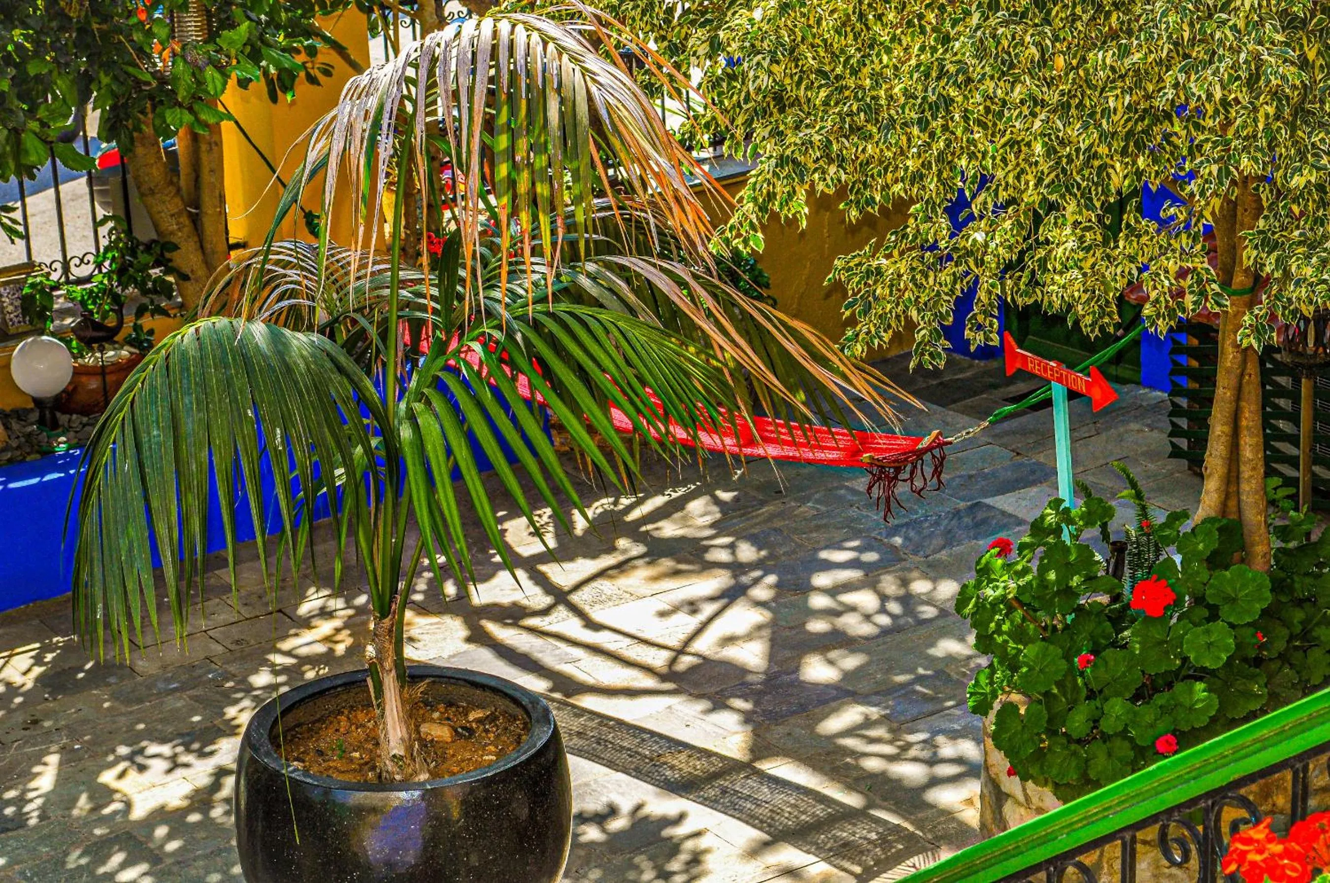 Garden in Symi Garden Studios