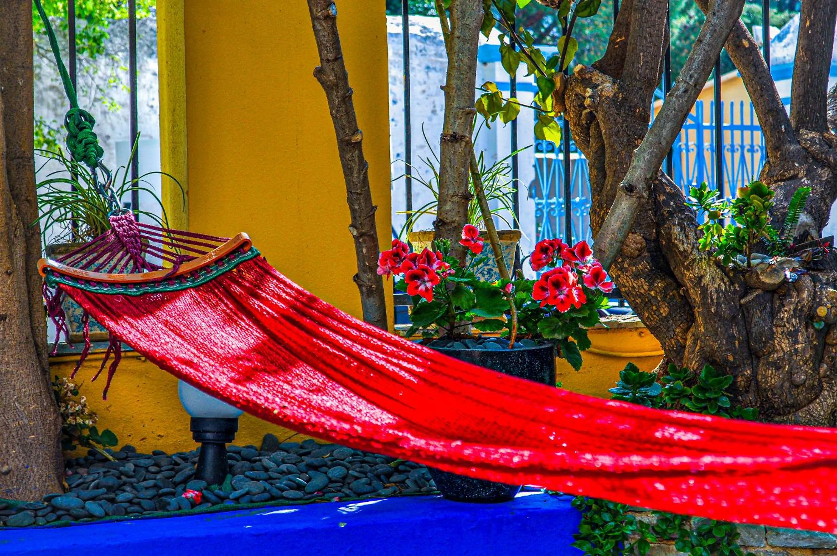 Garden in Symi Garden Studios