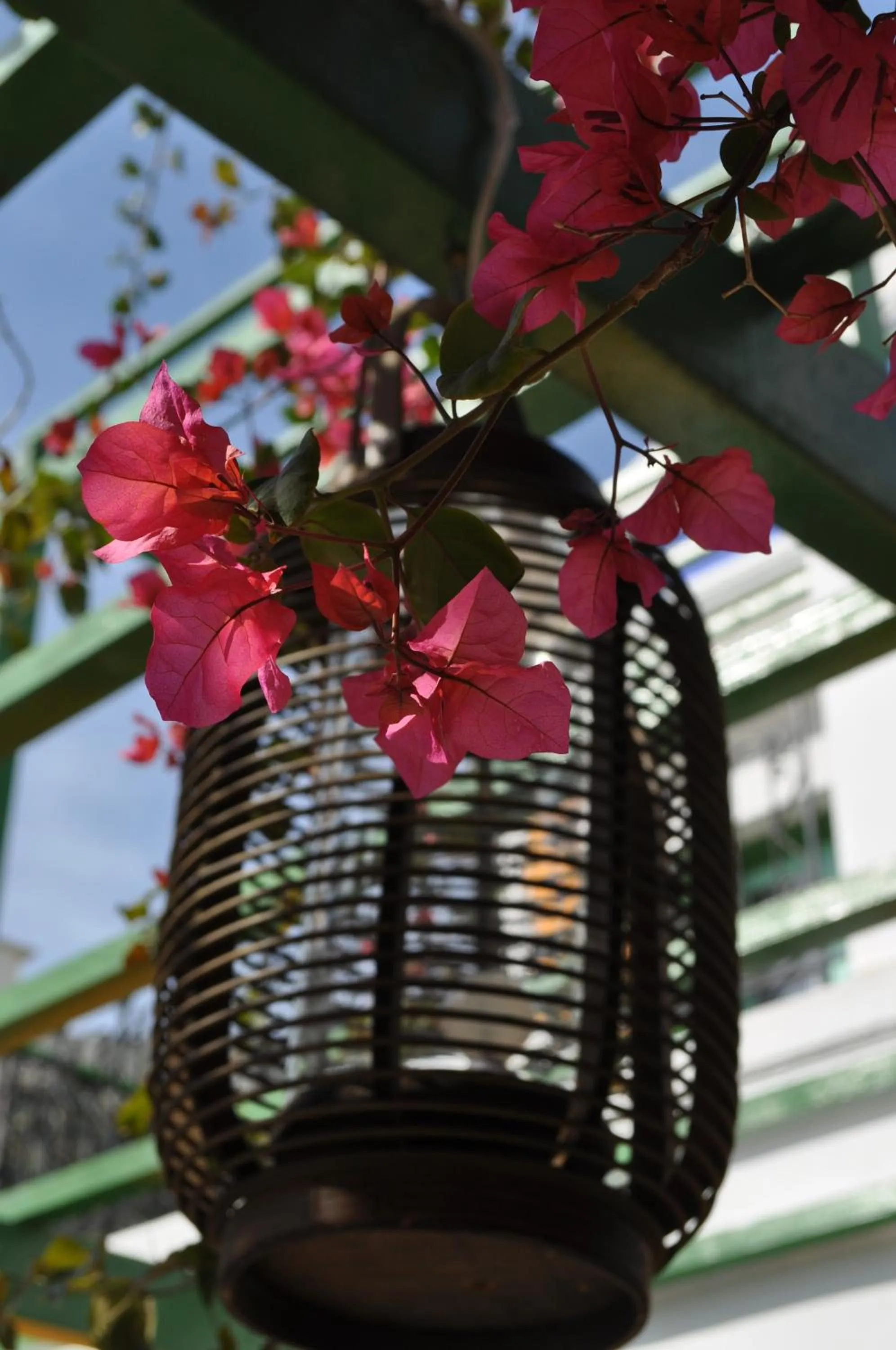 Other in Symi Garden Studios