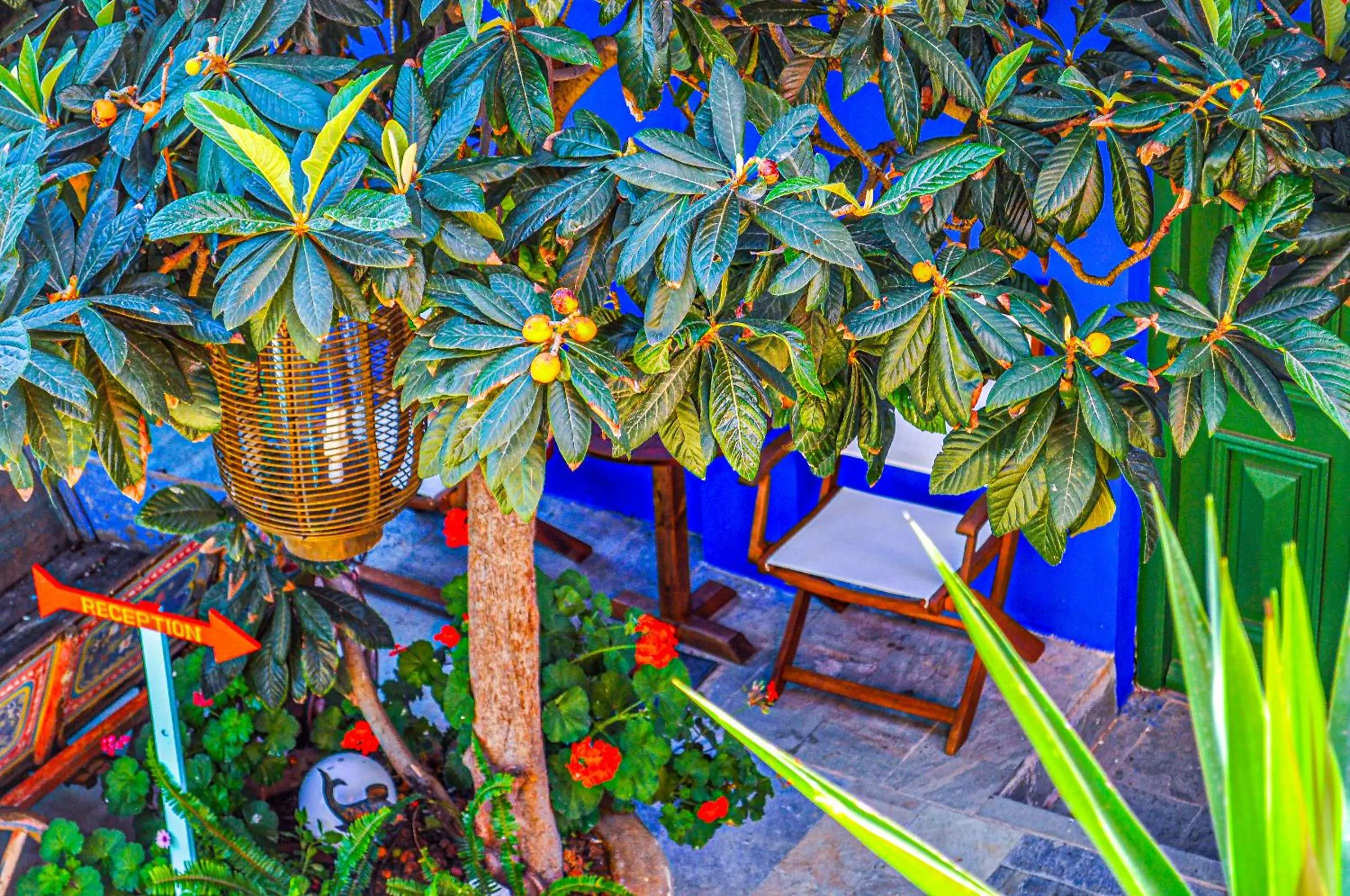 Garden view in Symi Garden Studios