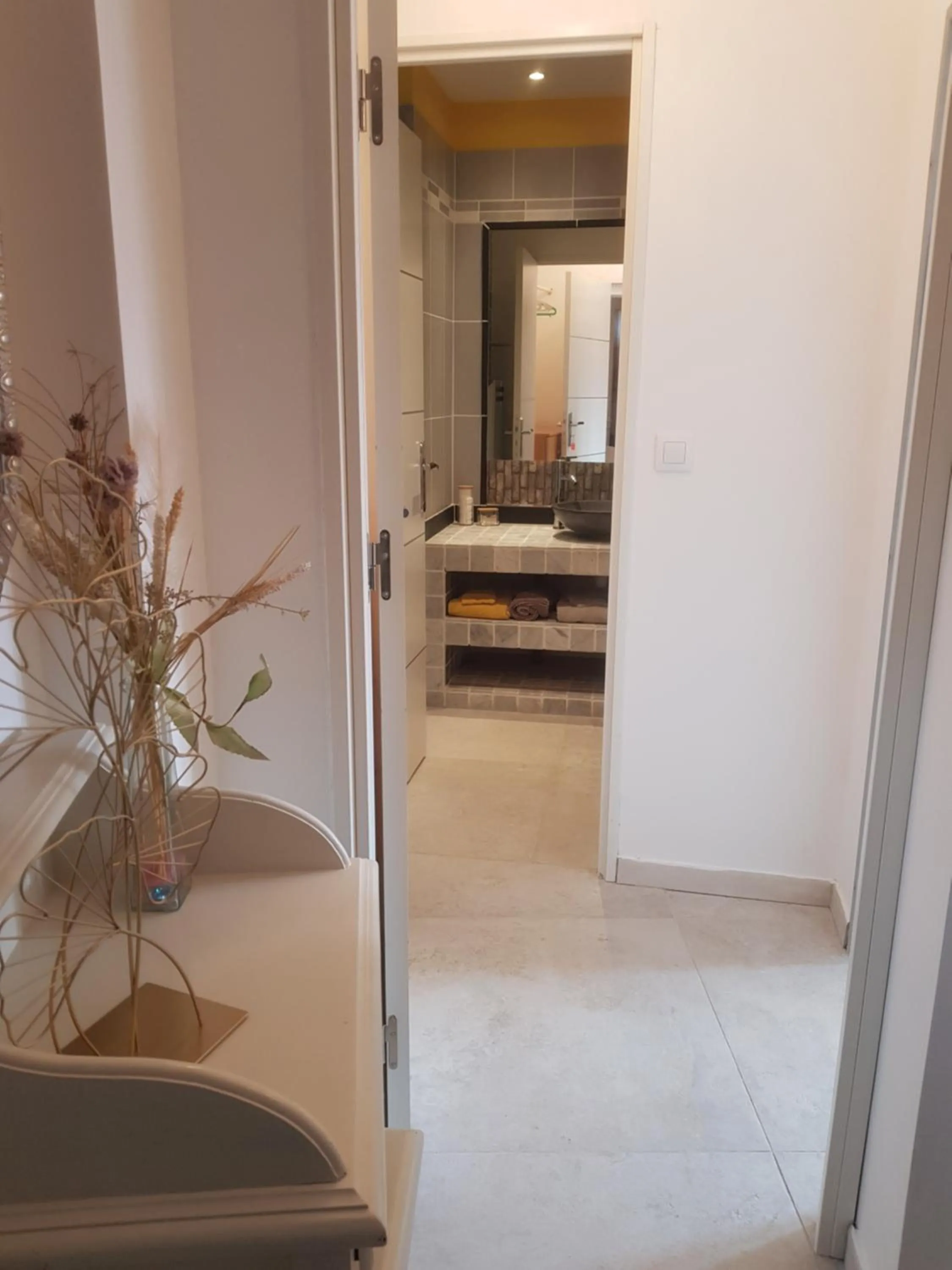 Les Lézards 2 au Soleil Draguignan