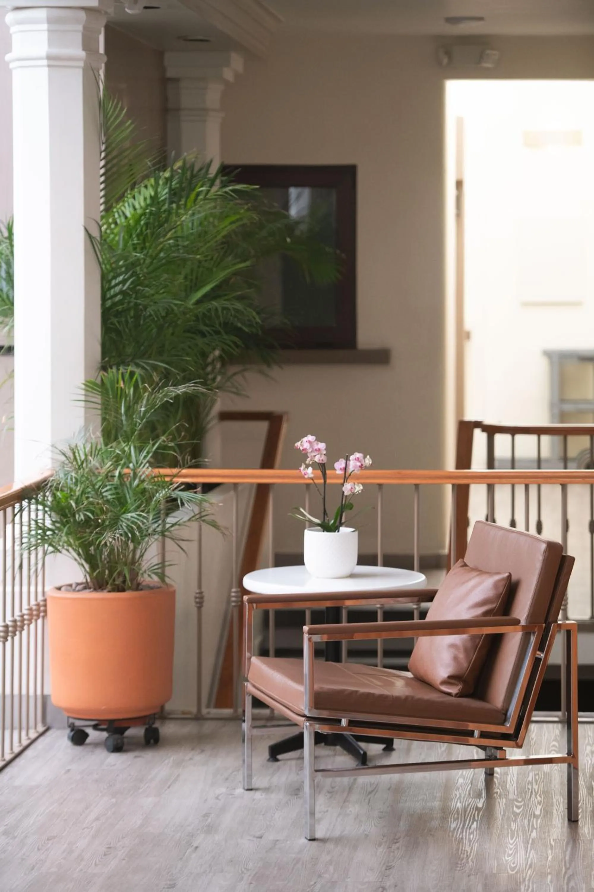 Property building in Hotel Abu