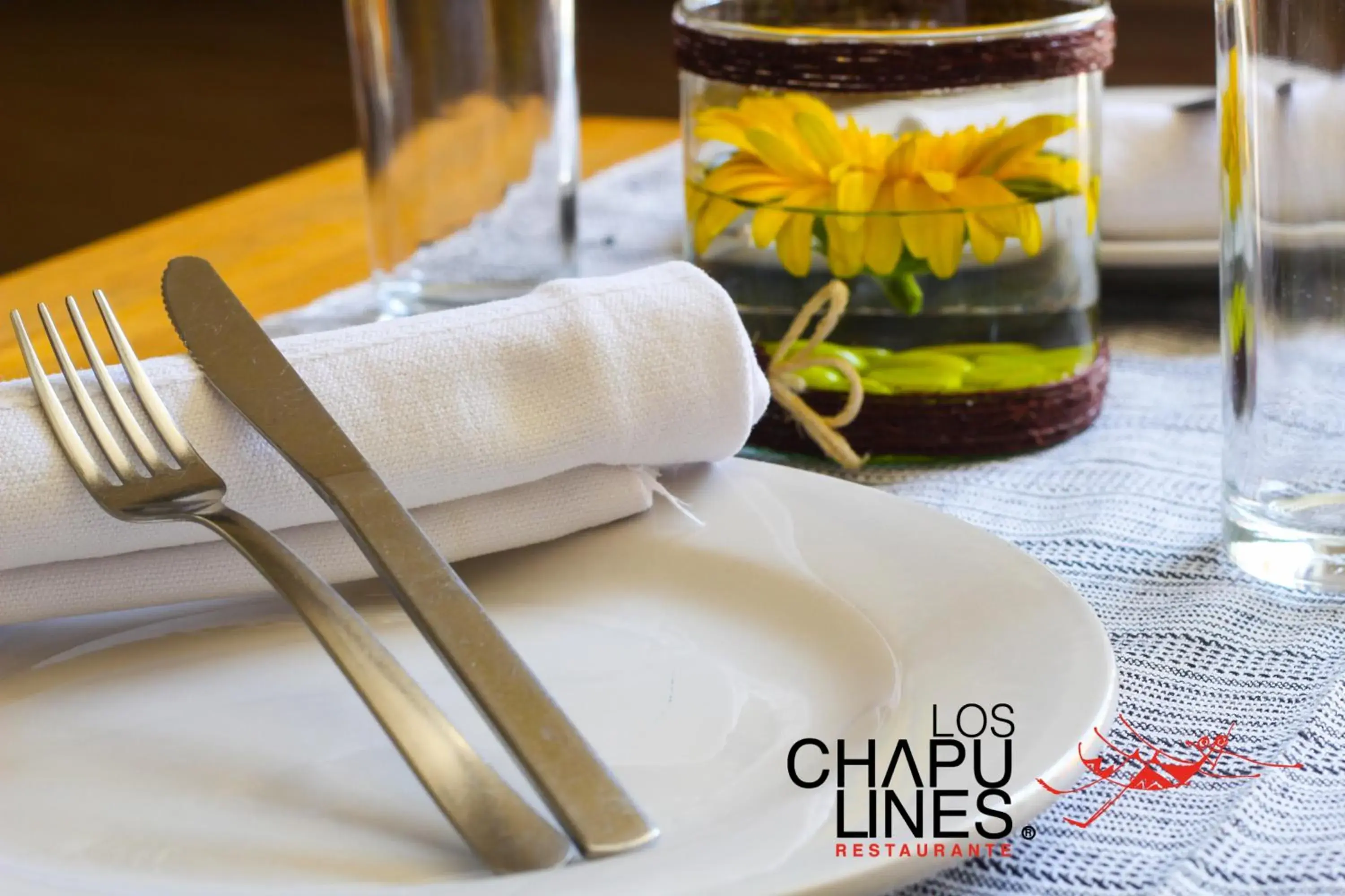 Restaurant/places to eat in Hotel Abu Restaurant/places to eat in Hotel Abu