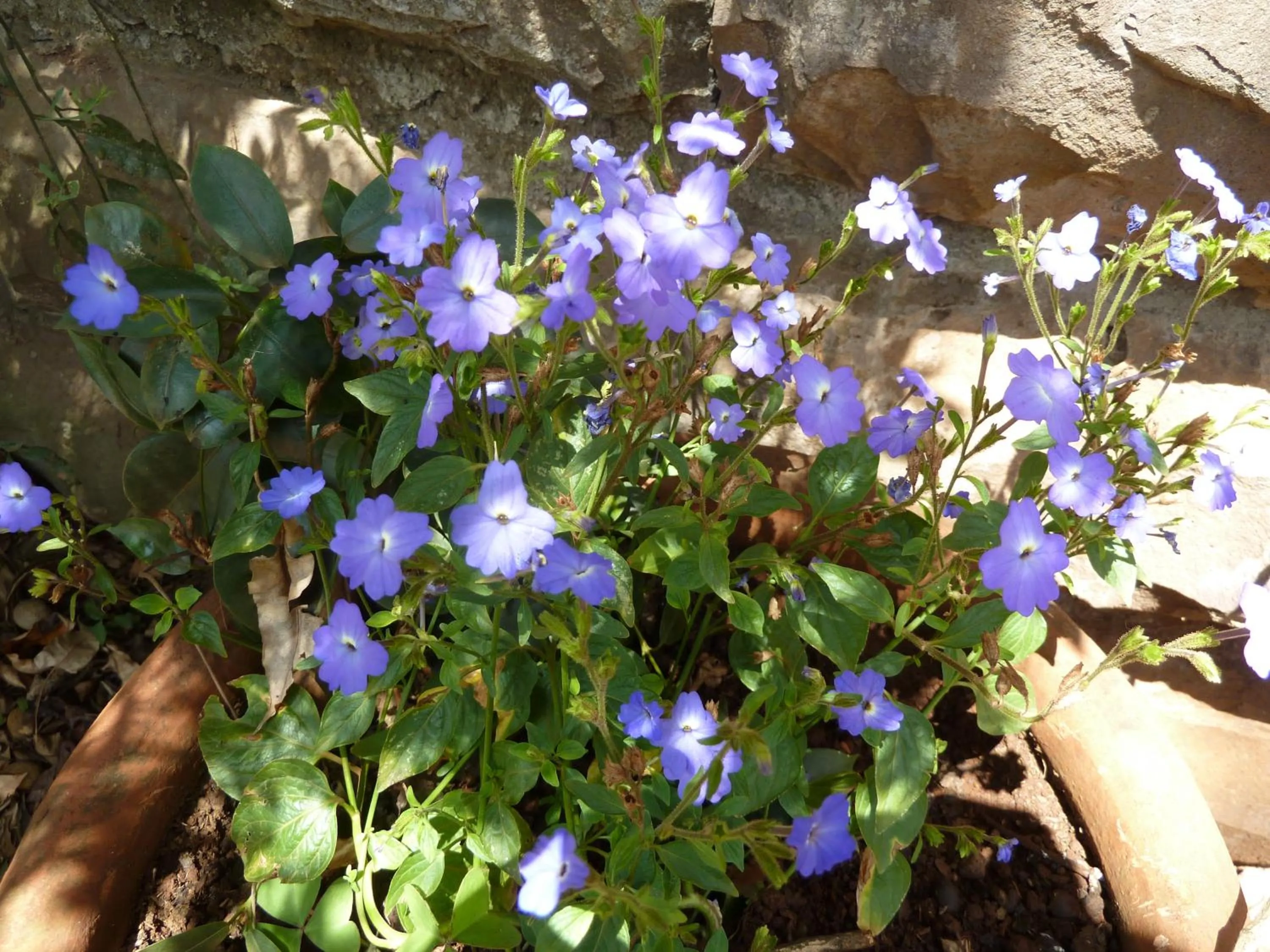 Natural landscape in Villa Rock Stop Falls Gigiri