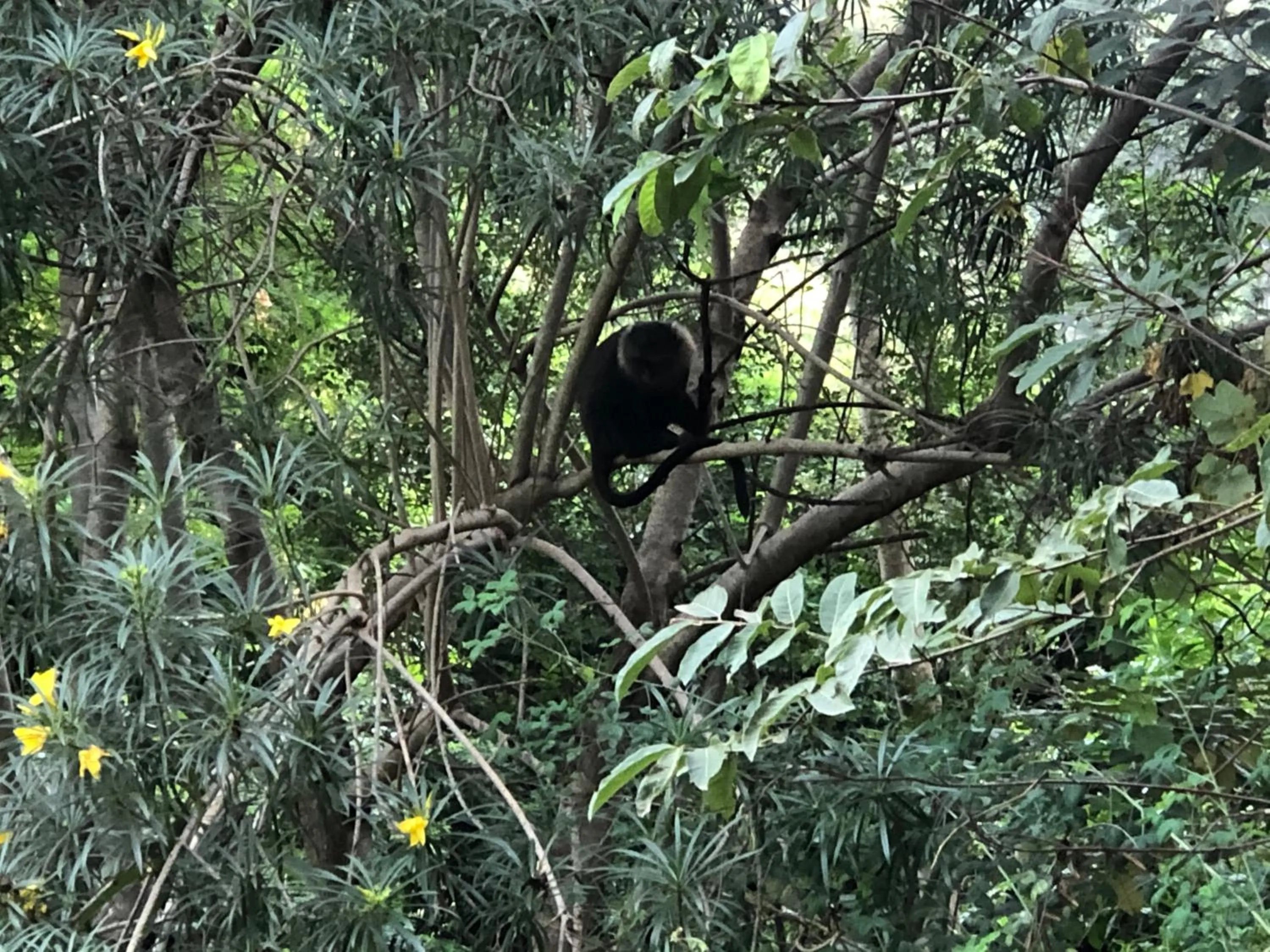 Day in Villa Rock Stop Falls Gigiri