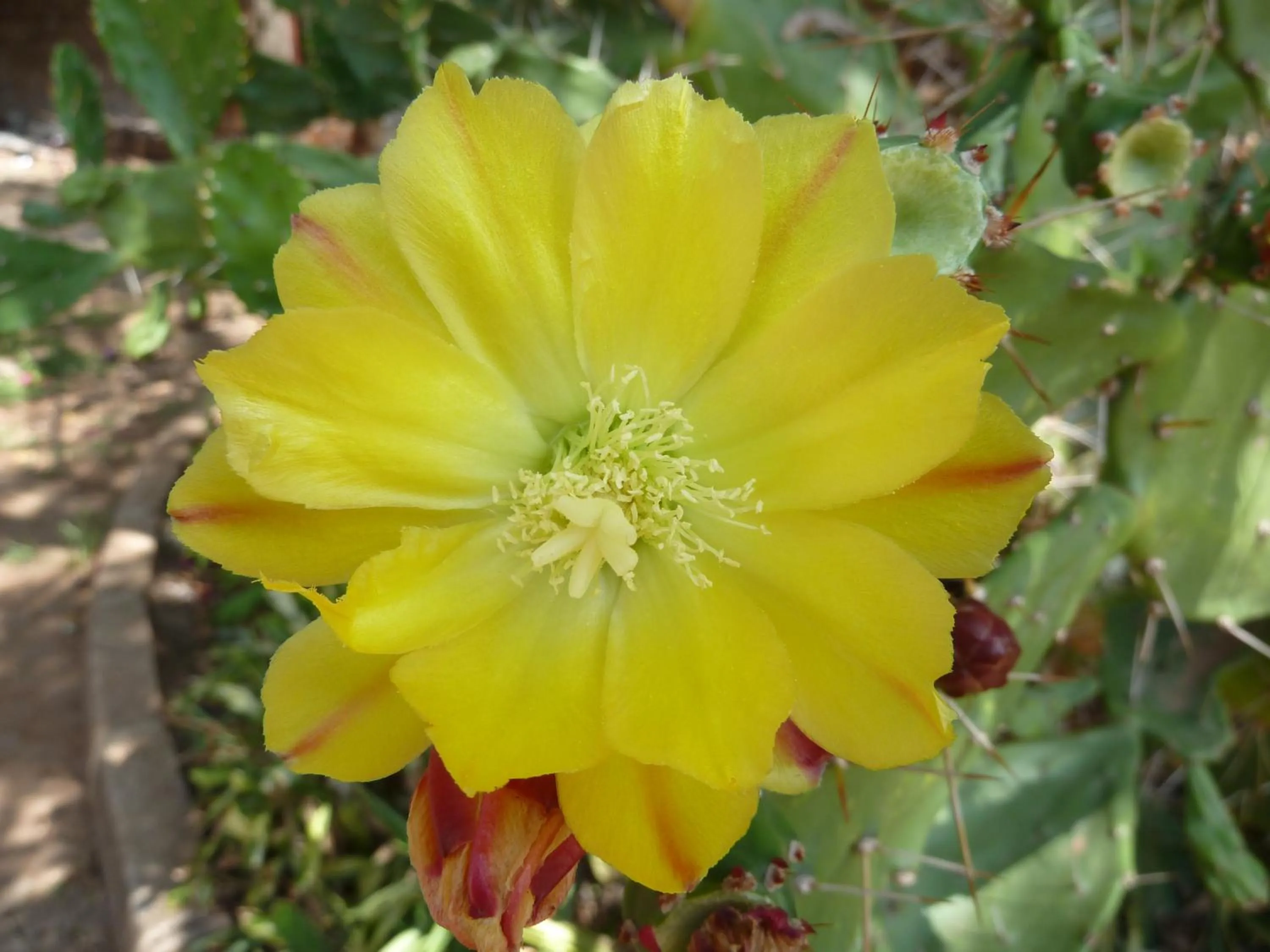 Day in Villa Rock Stop Falls Gigiri