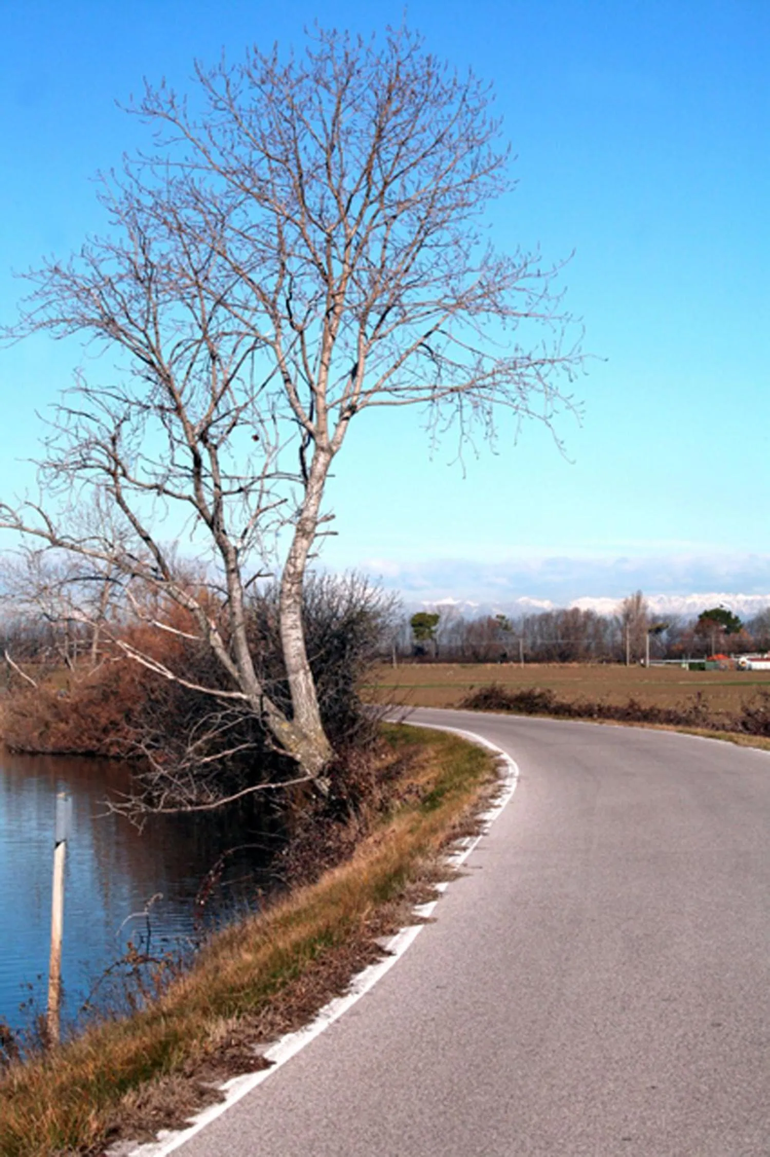 Natural landscape in b&b Bigolin Cristina