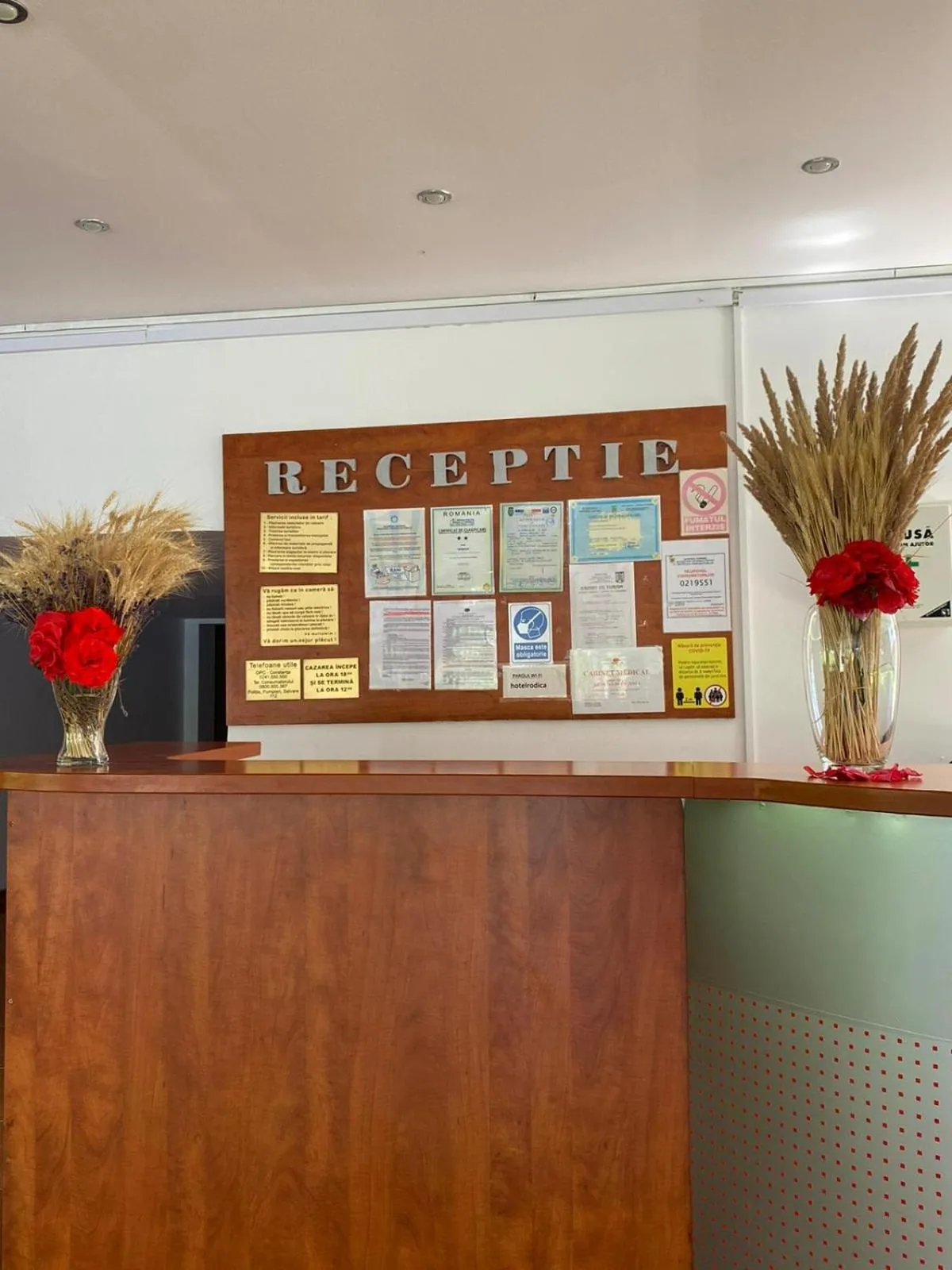Hotel Rodica