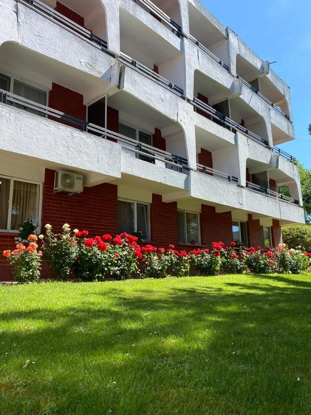 Hotel Rodica
