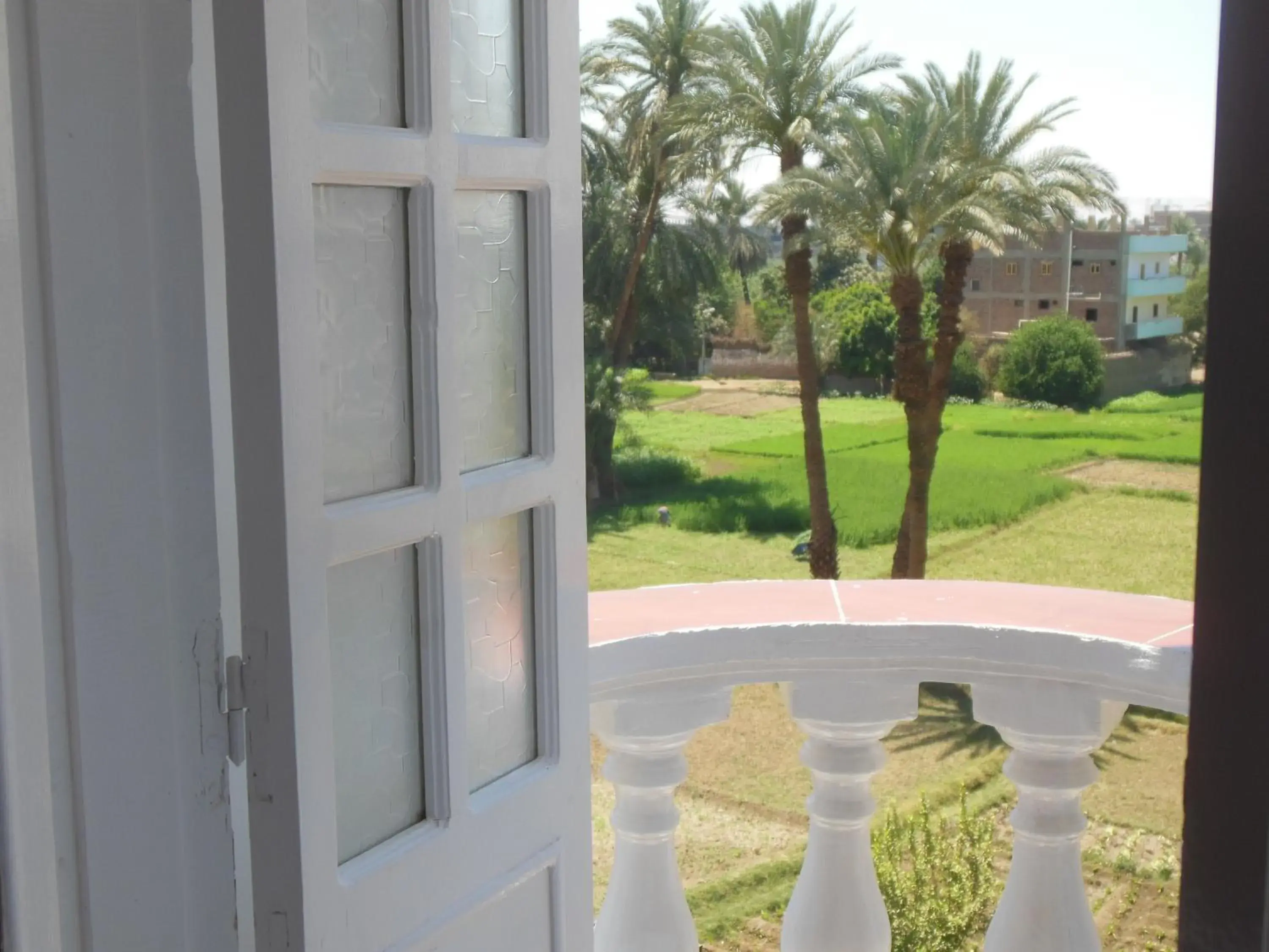 Double or Twin Room in Cleopatra Hotel Luxor Double or Twin Room in Cleopatra Hotel Luxor