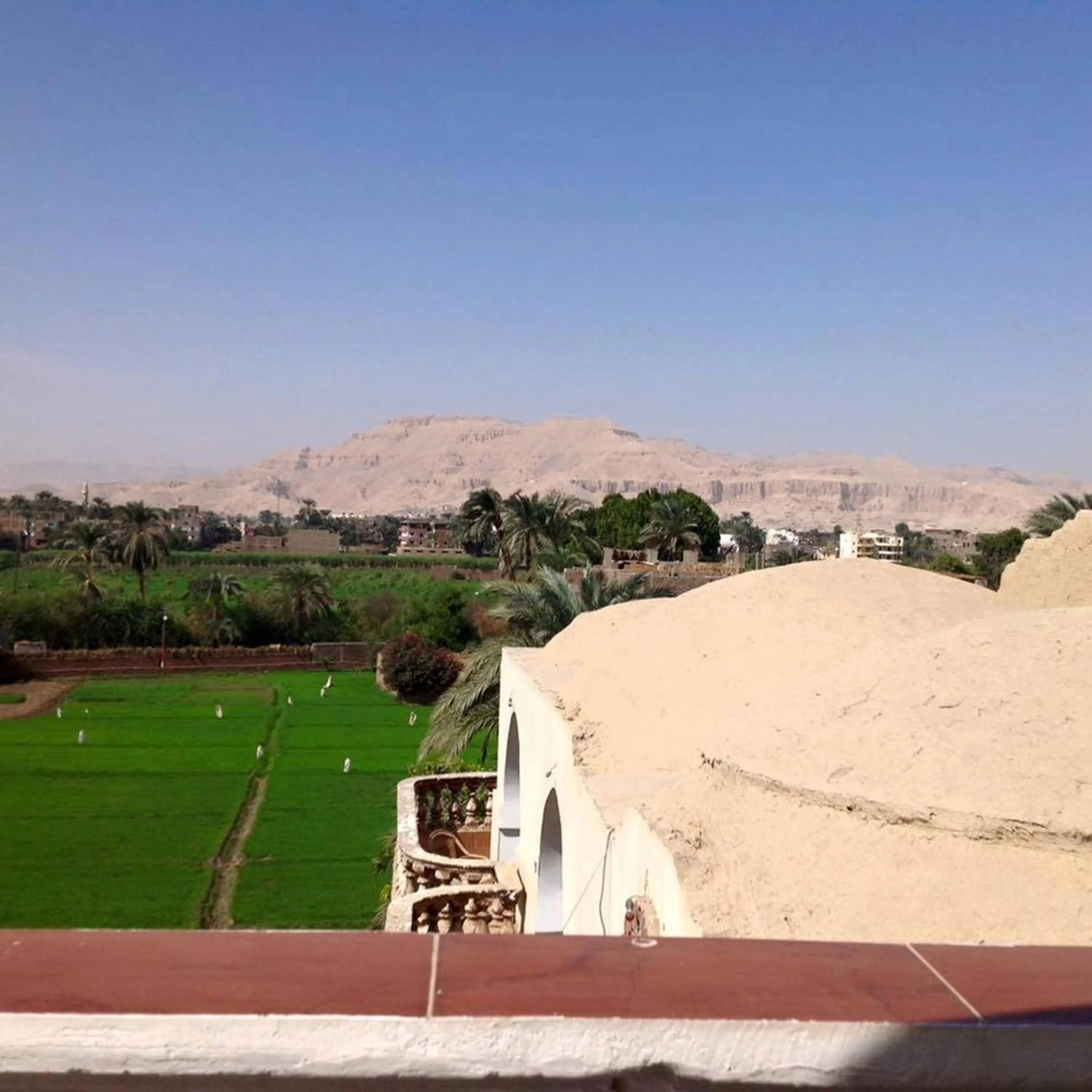 Balcony/Terrace in Cleopatra Hotel Luxor