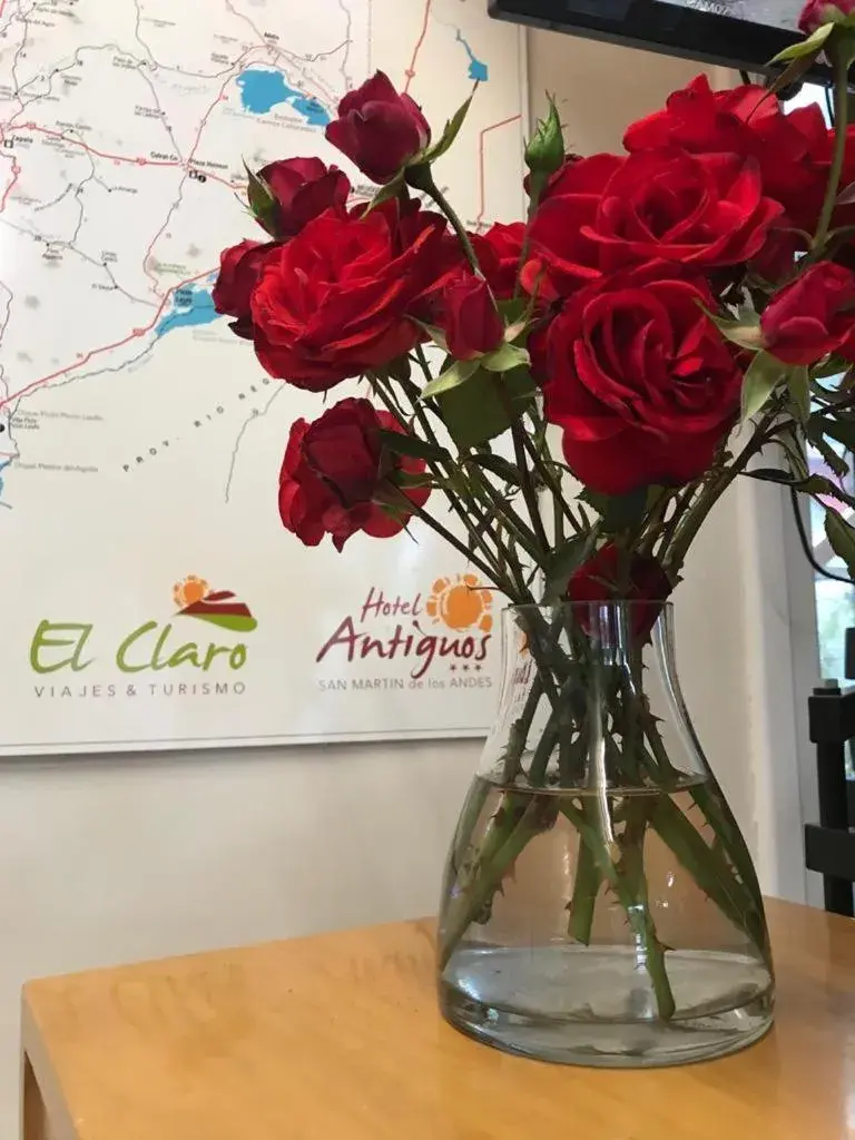 Lobby or reception in Hotel Antiguos Lobby or reception in Hotel Antiguos