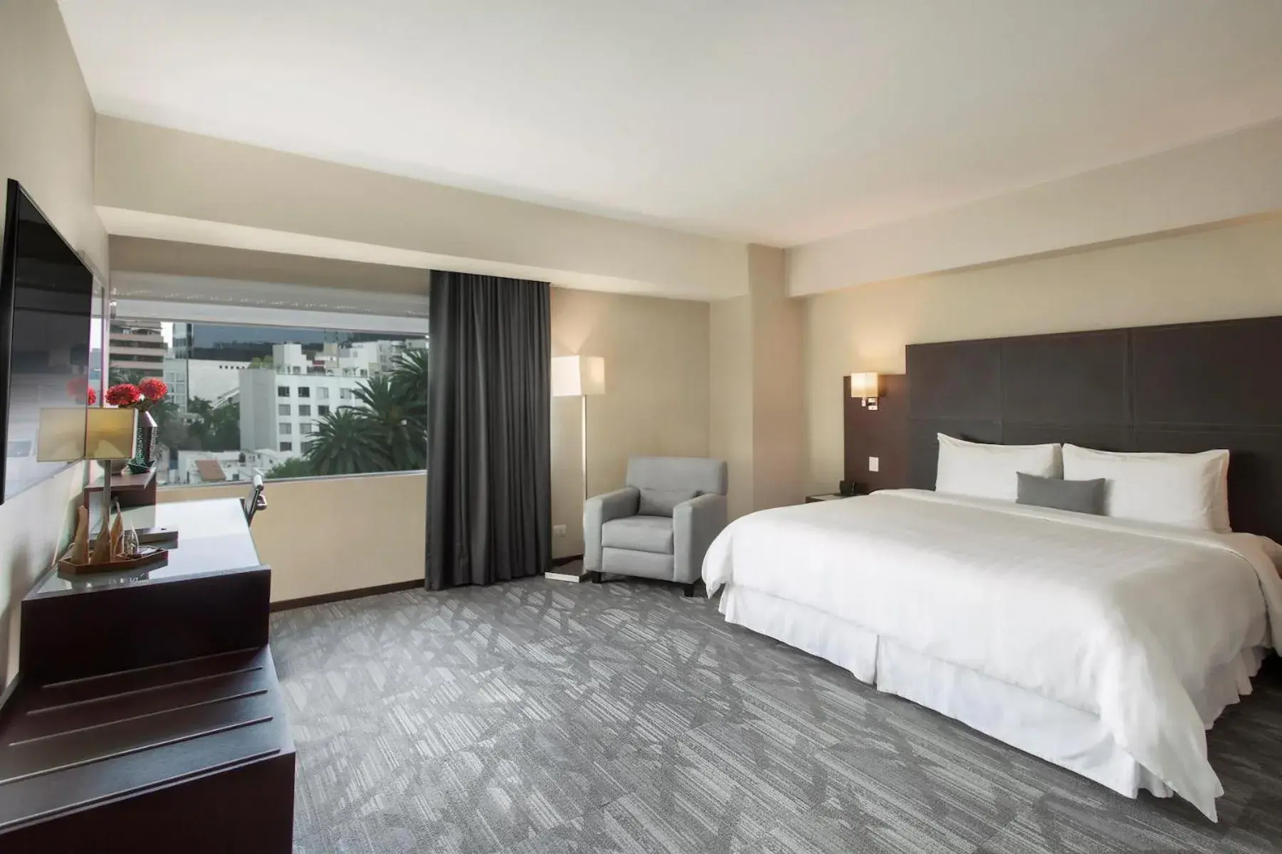 Suite in Hotel Novit Suite in Hotel Novit