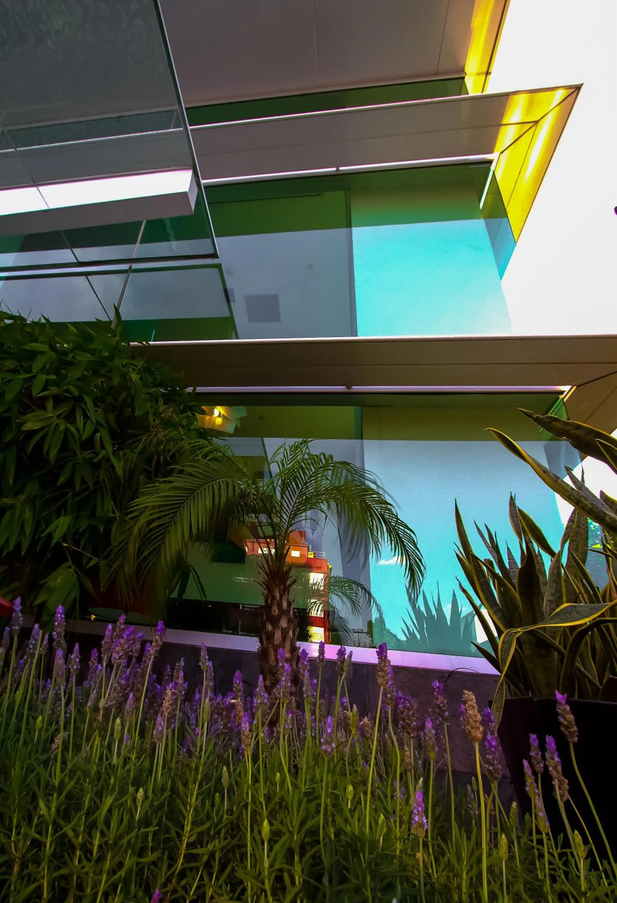 Facade/entrance in Hotel Novit