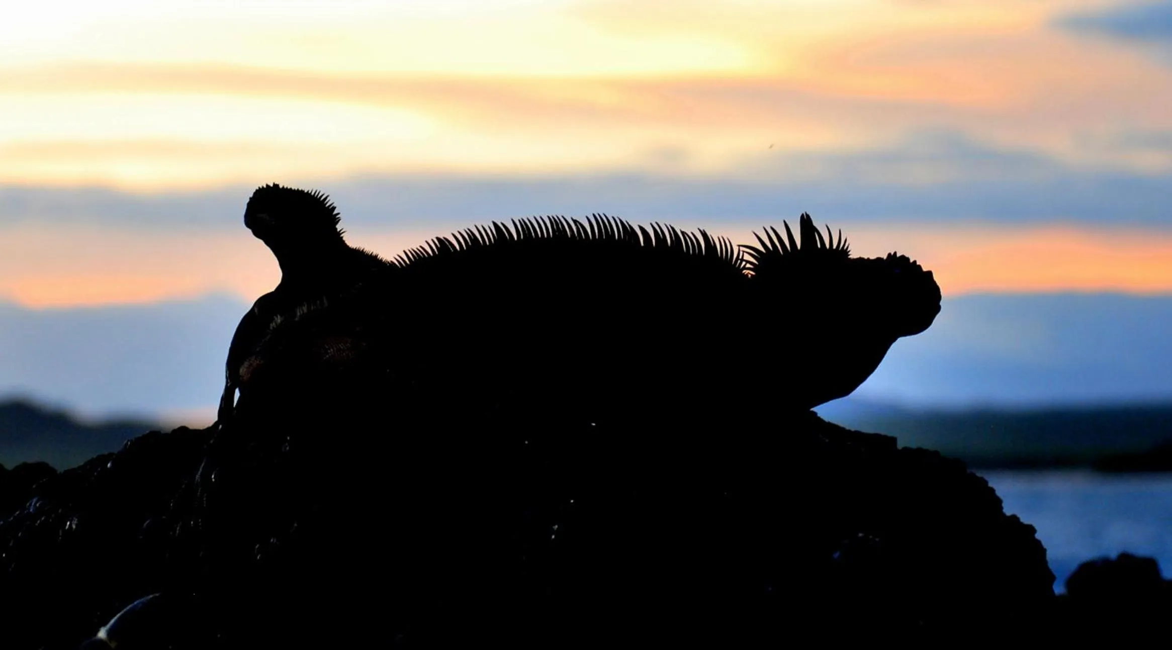 Natural landscape in Cormorant Beach House