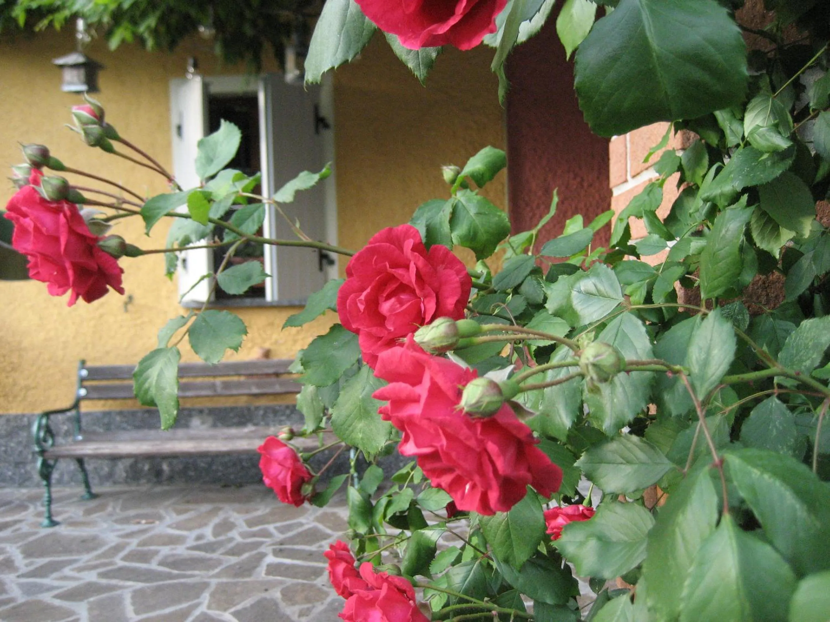 La casa tra i vigneti