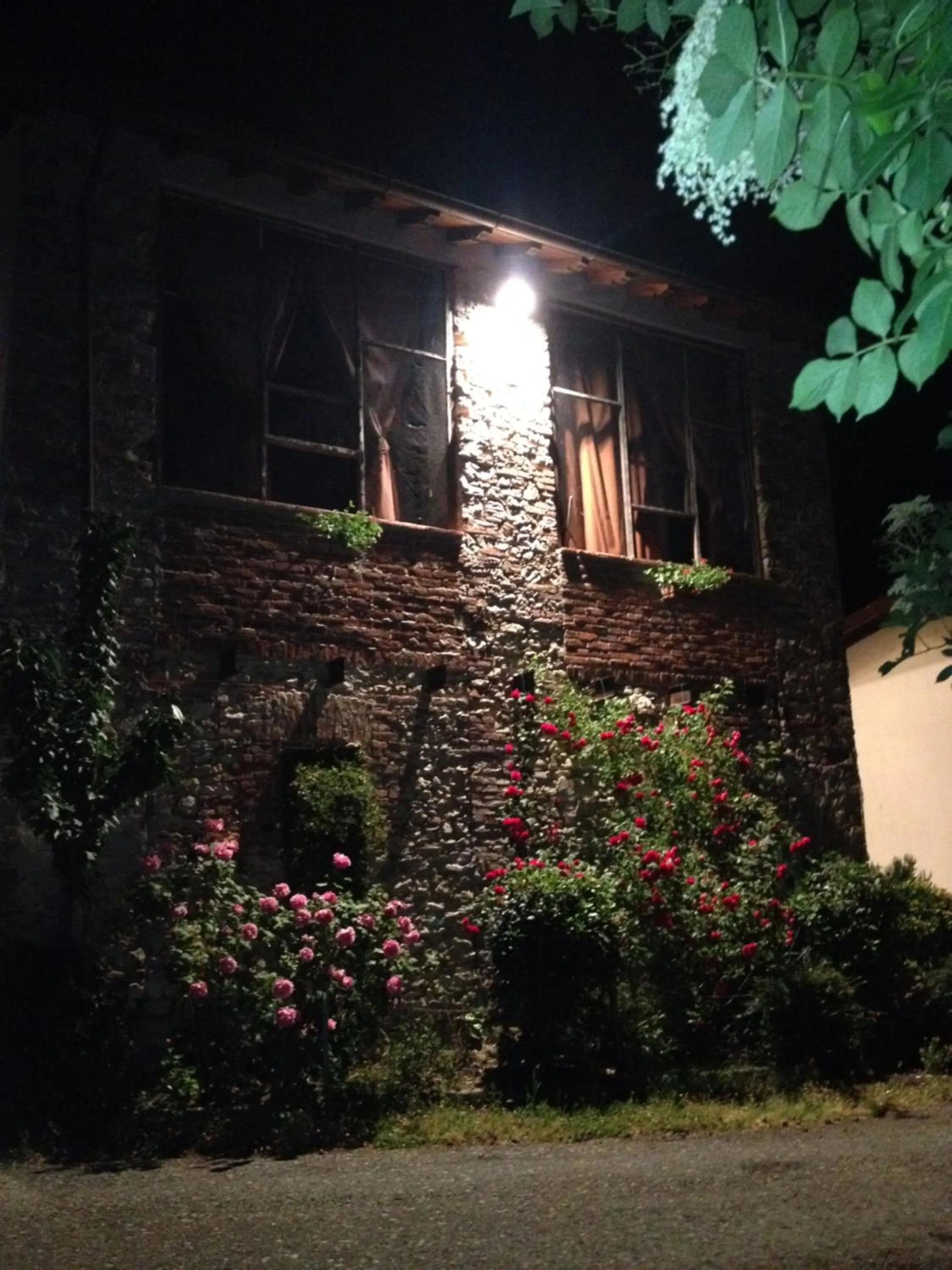 Breakfast in La casa tra i vigneti