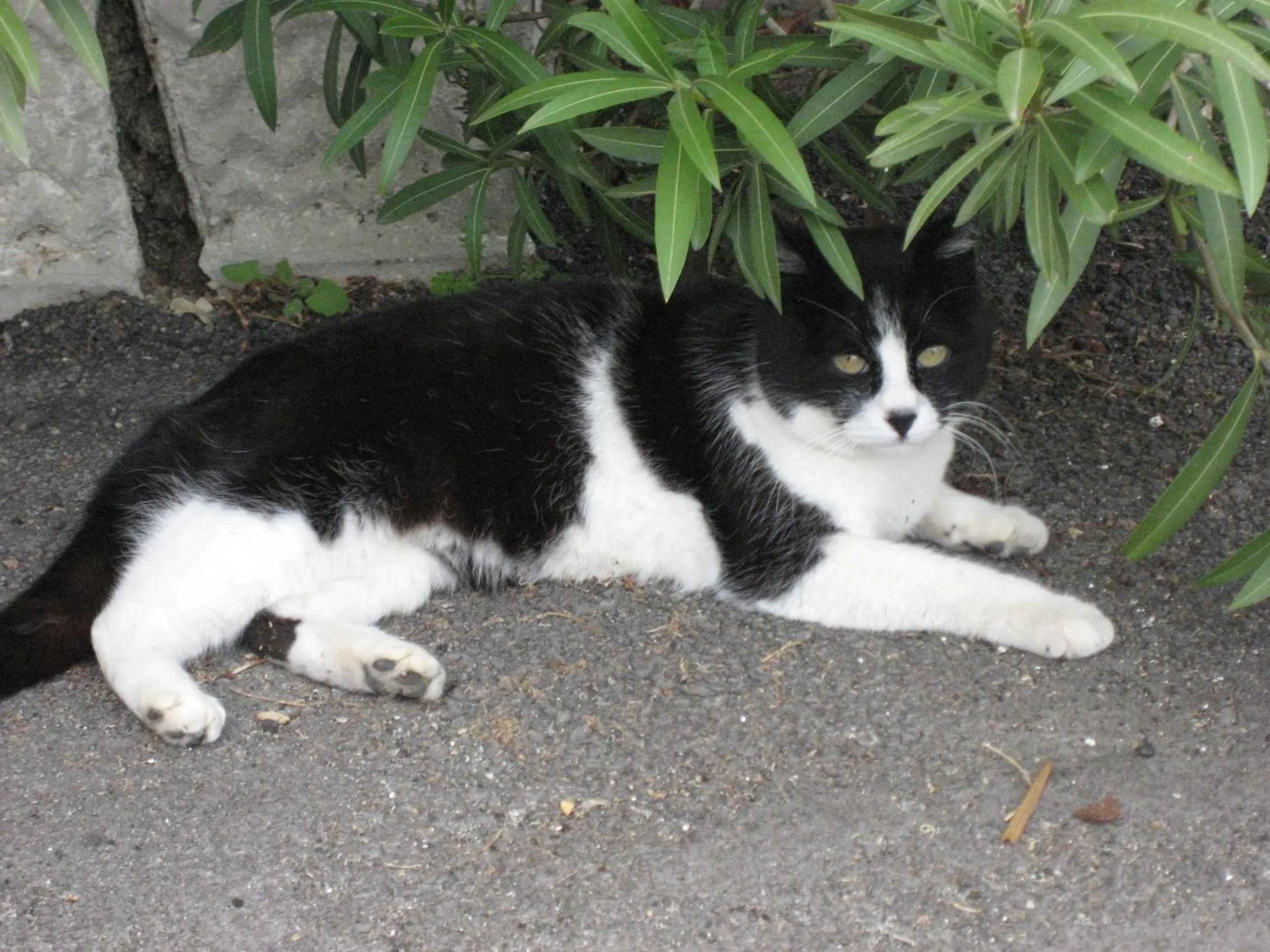 La casa tra i vigneti