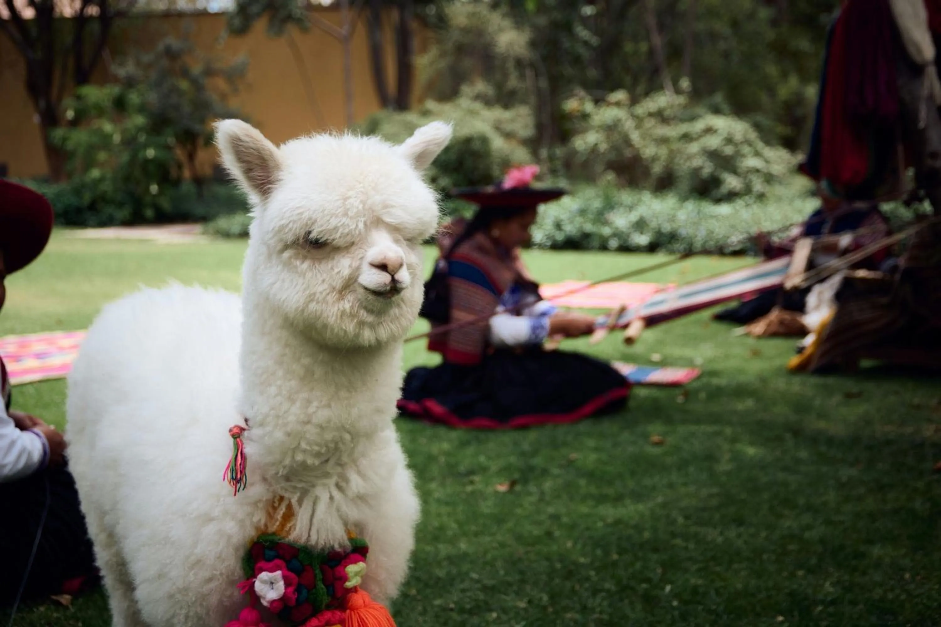 Other in Tambo del Inka, a Luxury Collection Resort & Spa, Valle Sagrado