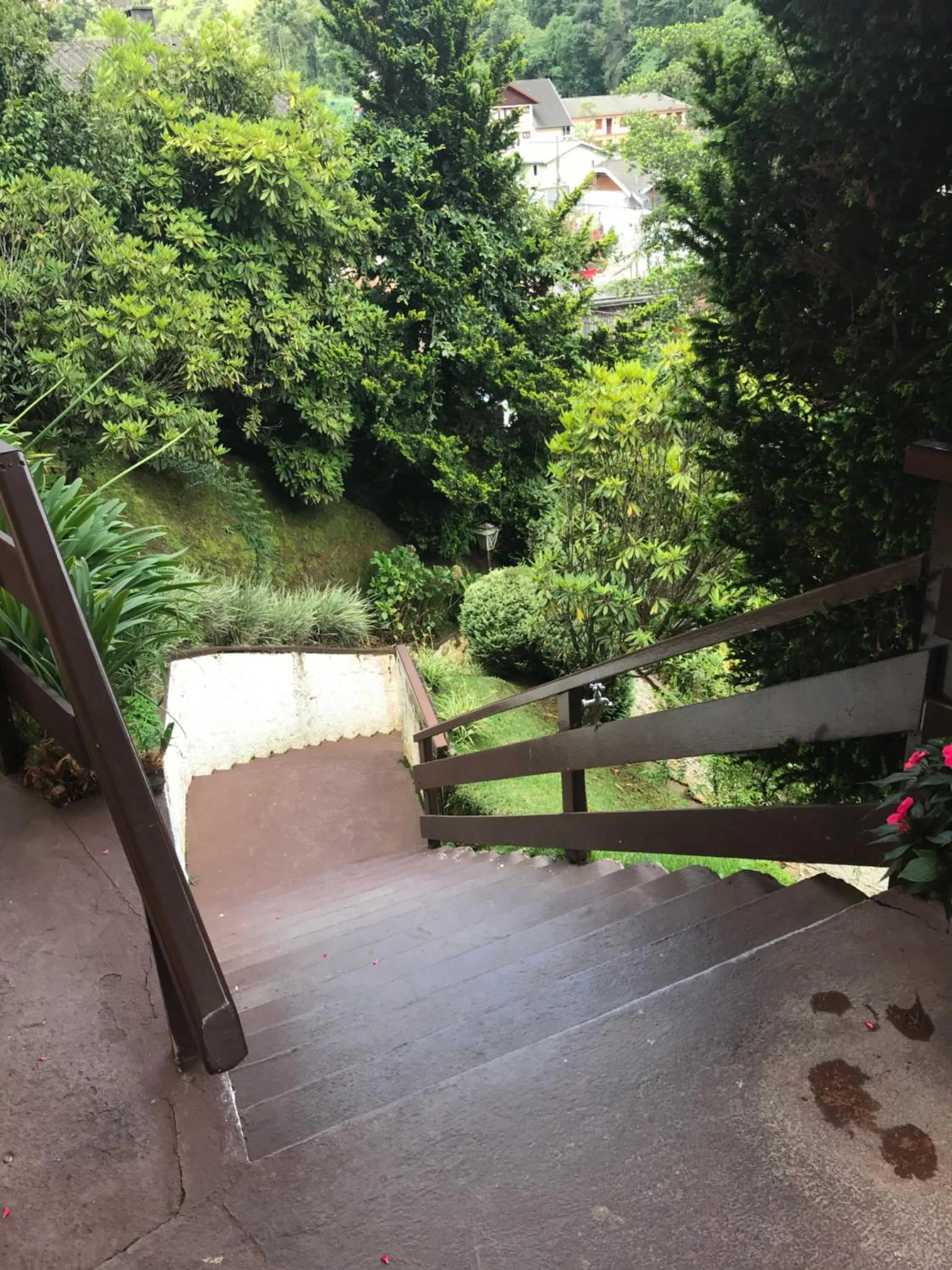 Garden view in Pousada da Brigida