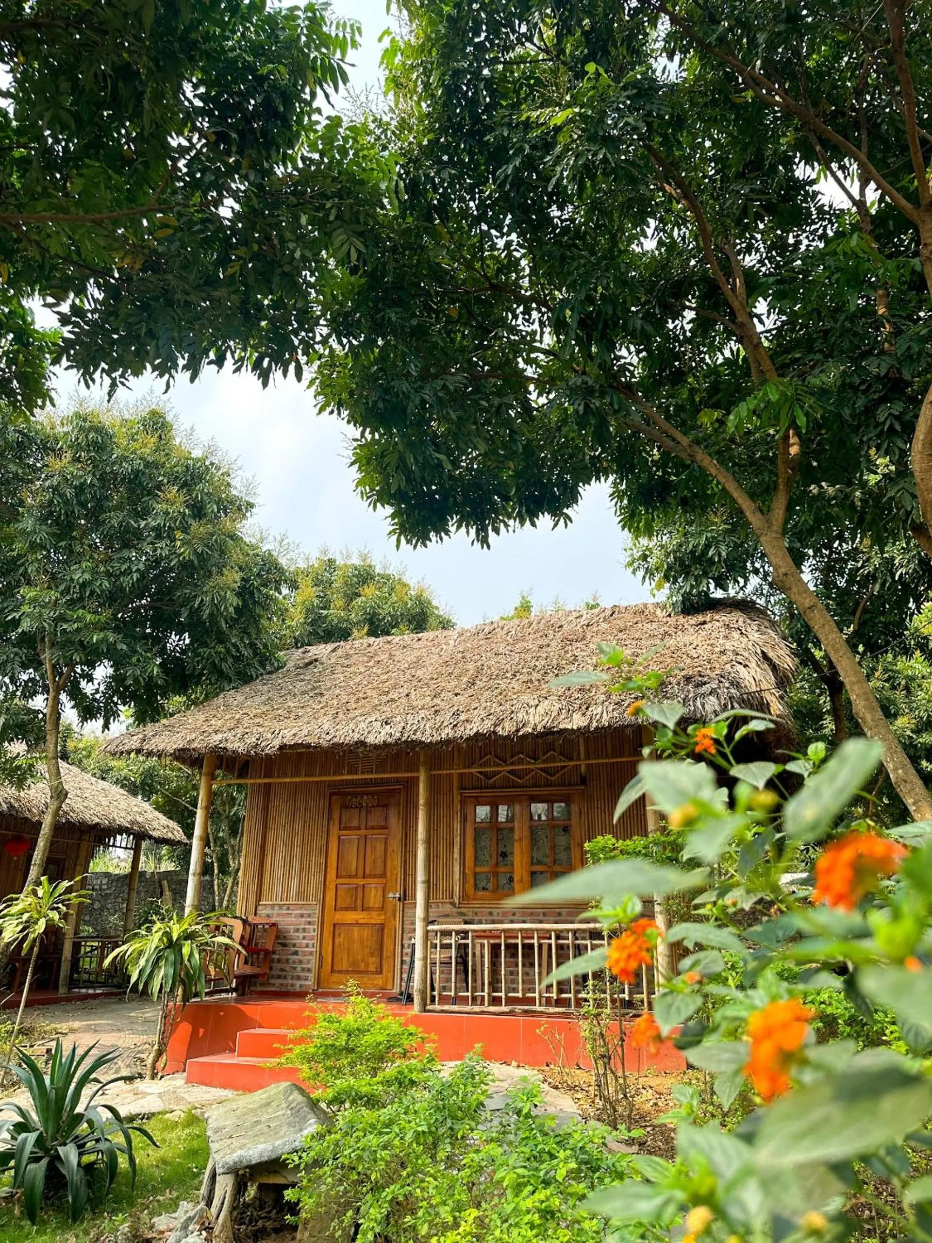 View (from property/room) in Ninh Binh Bamboo Farmstay