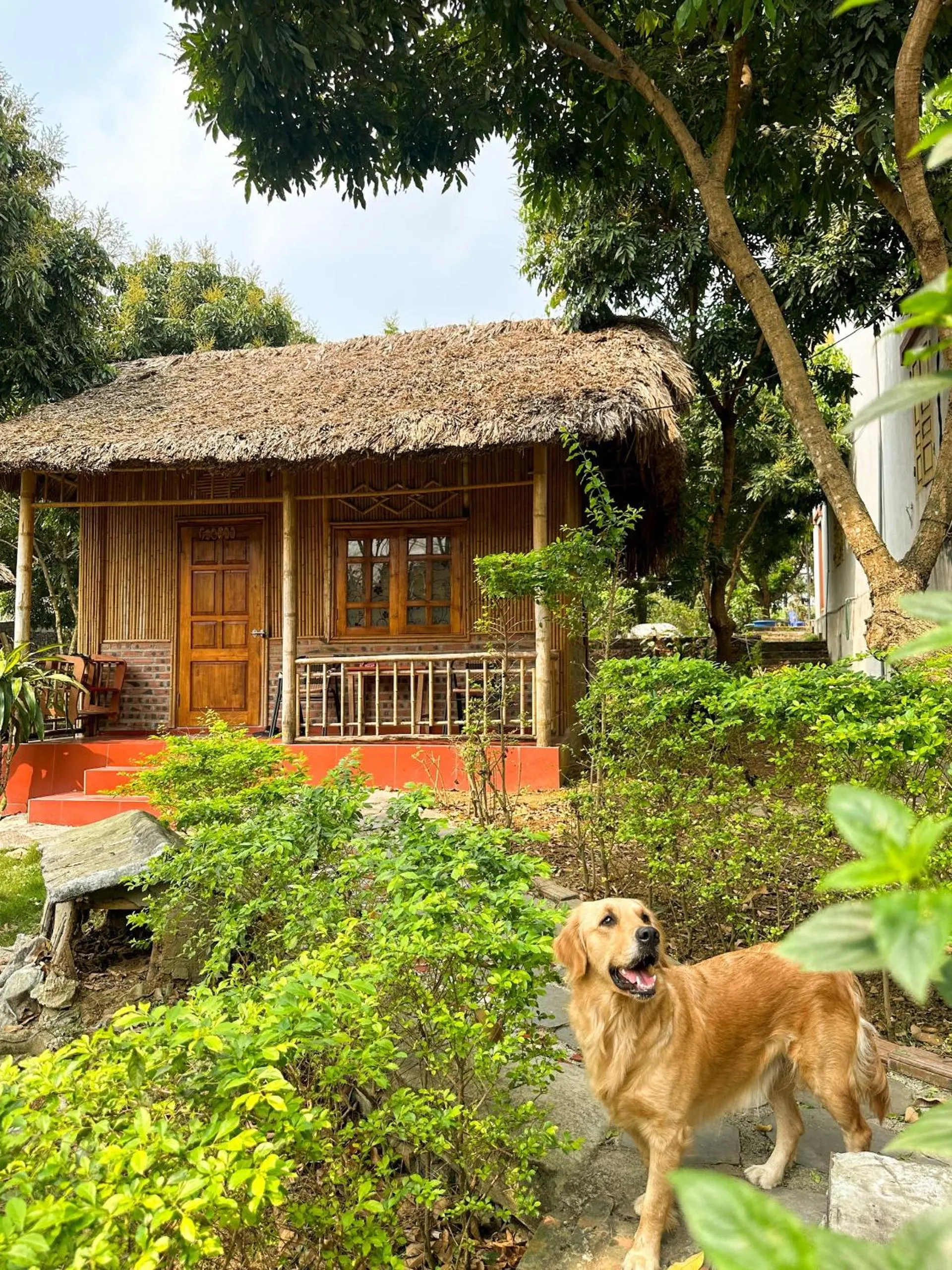 Garden in Ninh Binh Bamboo Farmstay