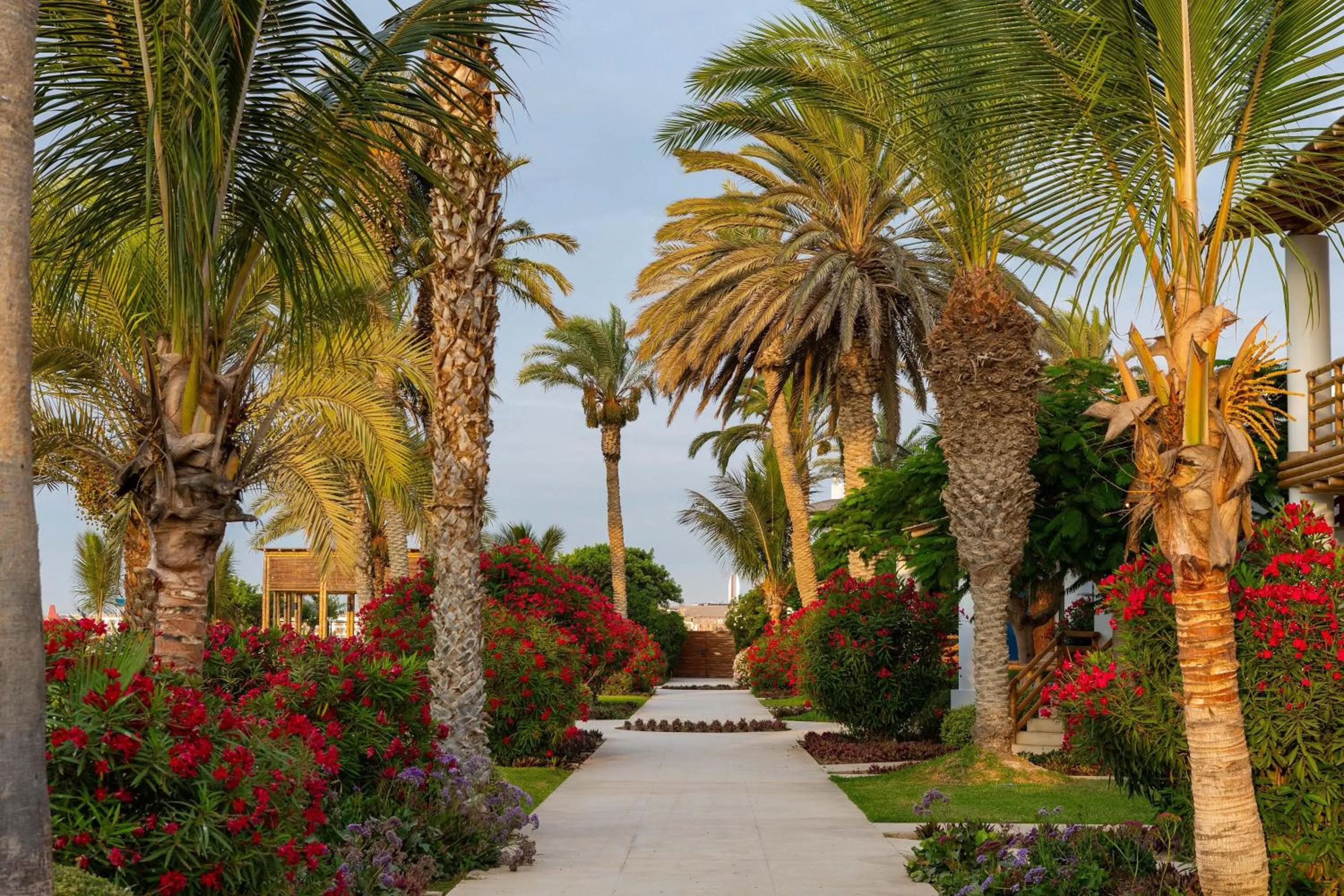 Other in Hotel Paracas, a Luxury Collection Resort, Paracas