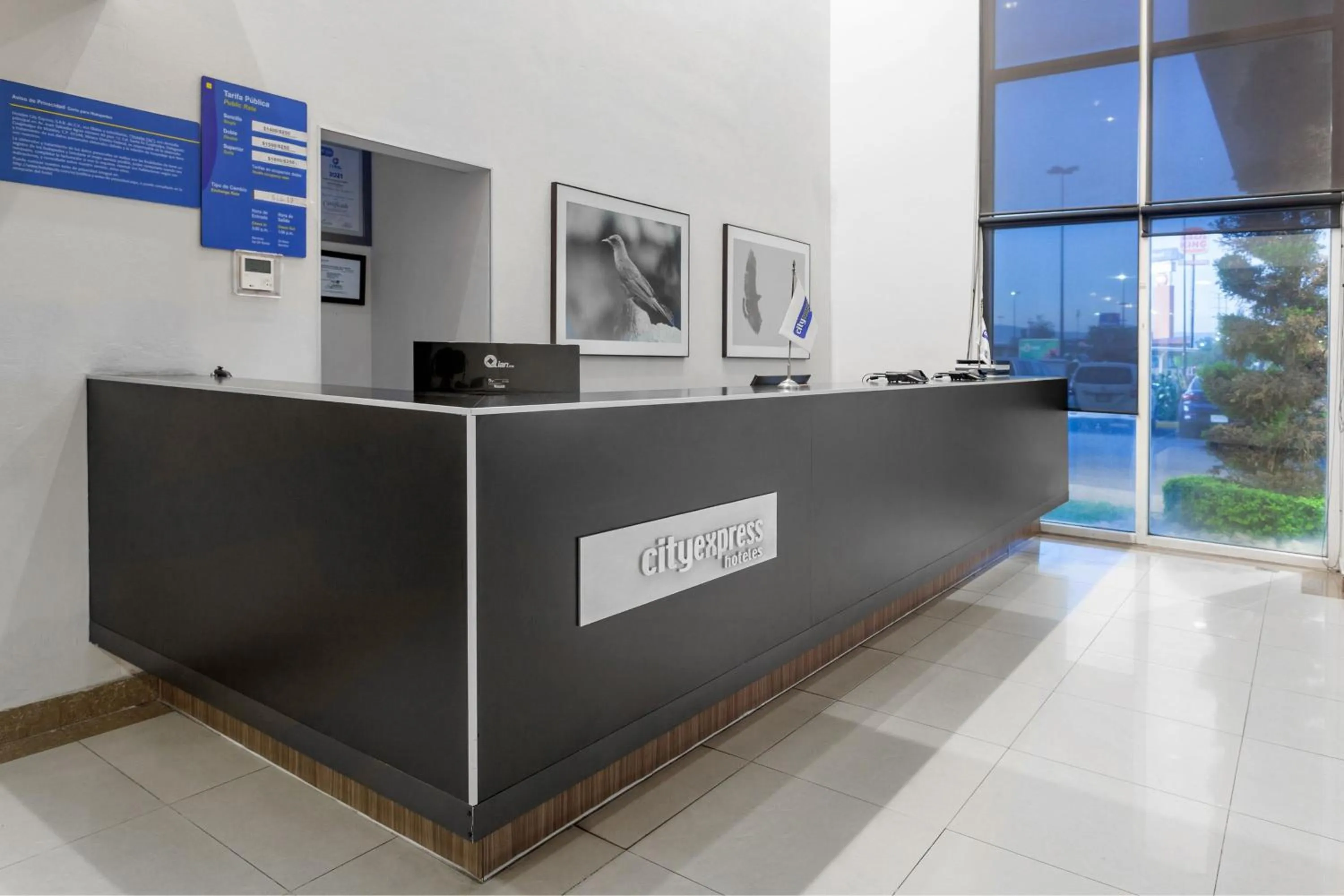 Lobby or reception in City Express by Marriott Celaya Parque