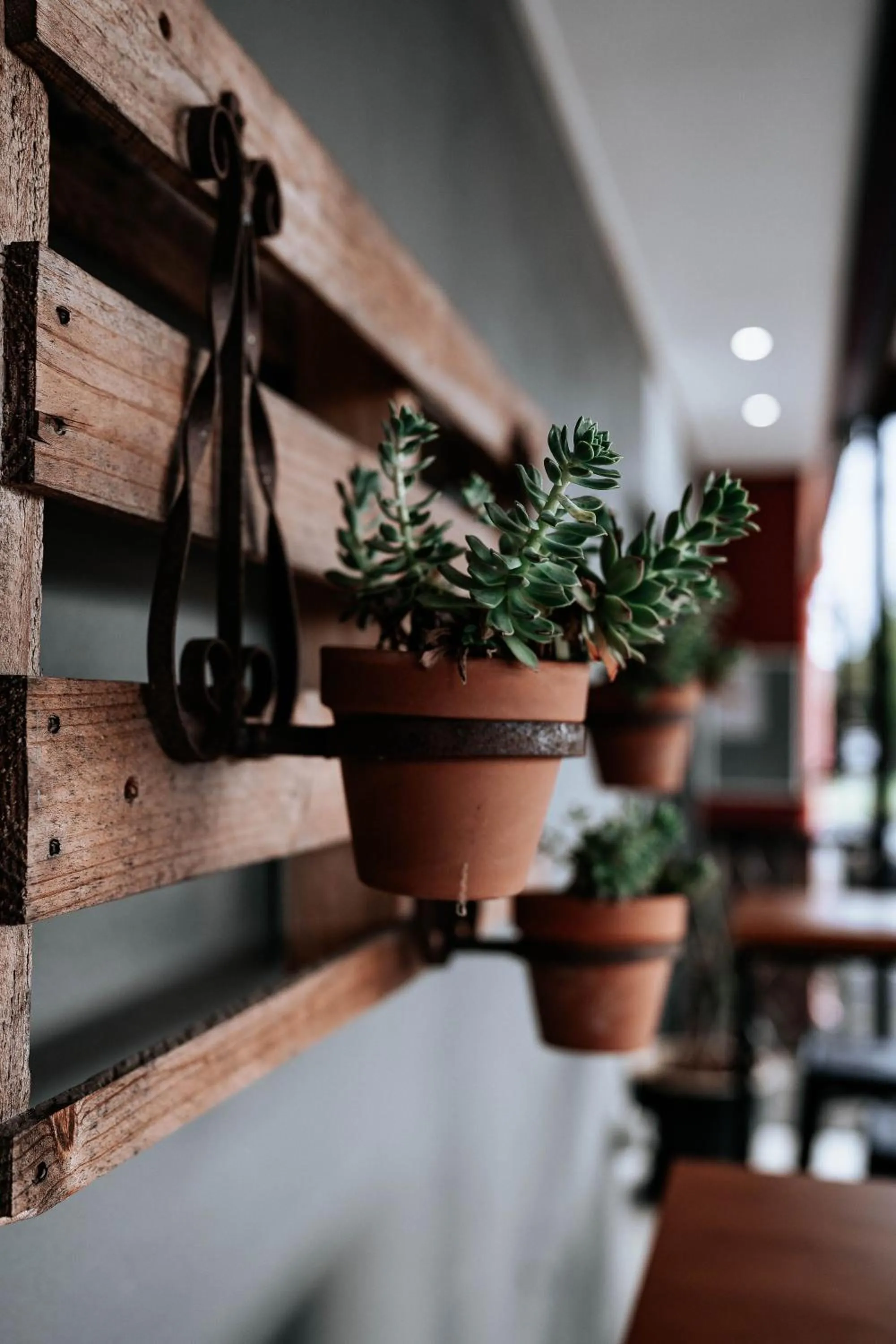 Restaurant/places to eat in High Street Motor Inn