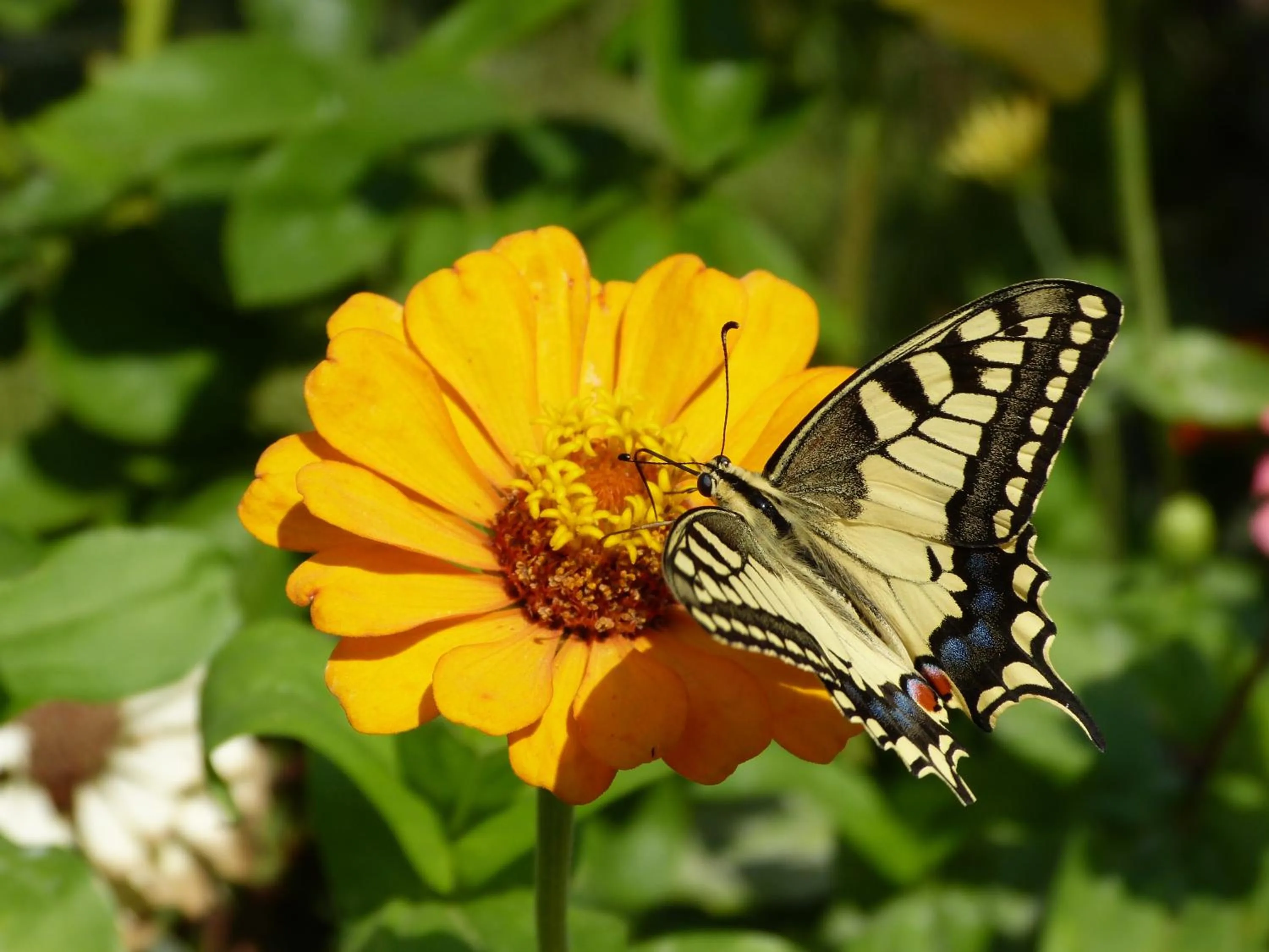 Other in Sun Rise Hotel