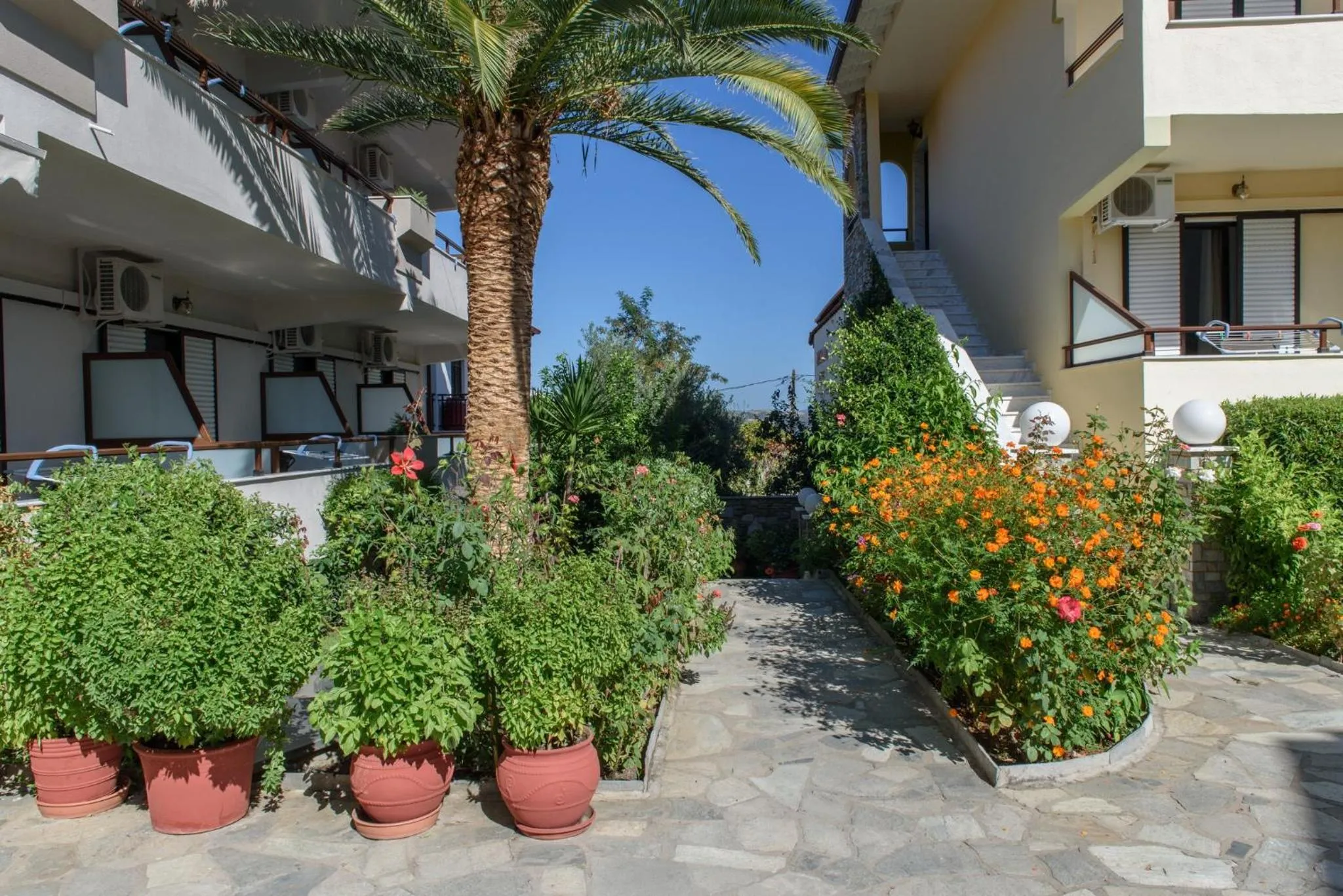 Garden in Sun Rise Hotel